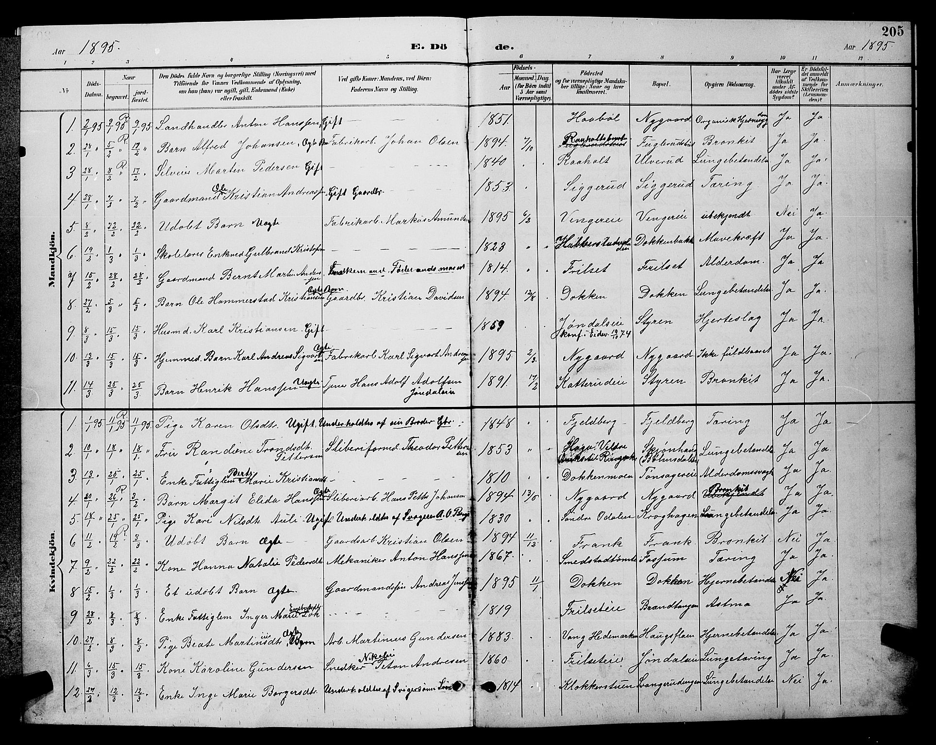Eidsvoll prestekontor Kirkebøker, SAO/A-10888/G/Ga/L0006: Parish register (copy) no. I 6, 1895-1901, p. 205