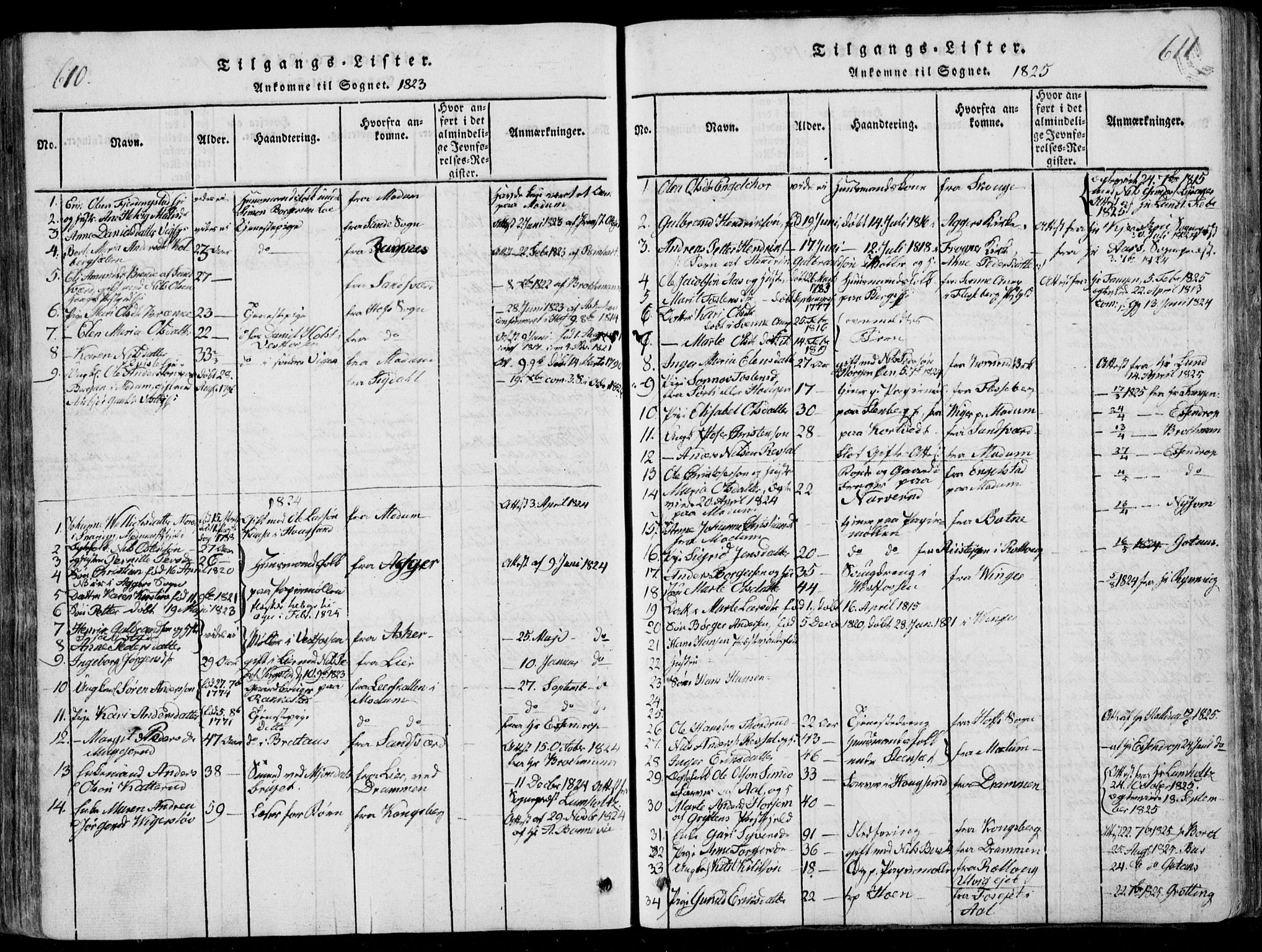 Eiker kirkebøker, AV/SAKO-A-4/F/Fa/L0011: Parish register (official) no. I 11, 1814-1827, p. 610-611