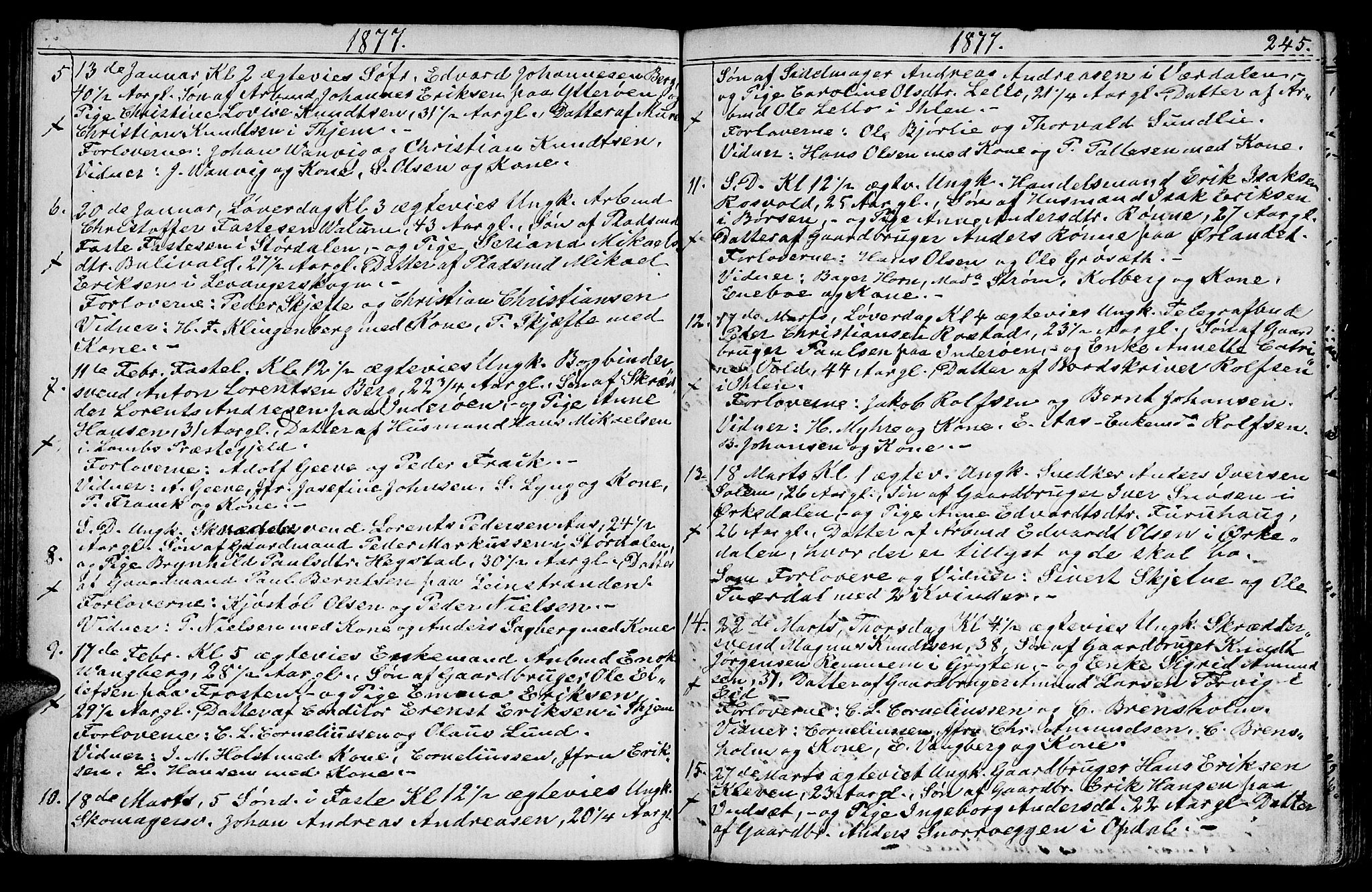 Ministerialprotokoller, klokkerbøker og fødselsregistre - Sør-Trøndelag, SAT/A-1456/602/L0142: Parish register (copy) no. 602C10, 1872-1894, p. 245