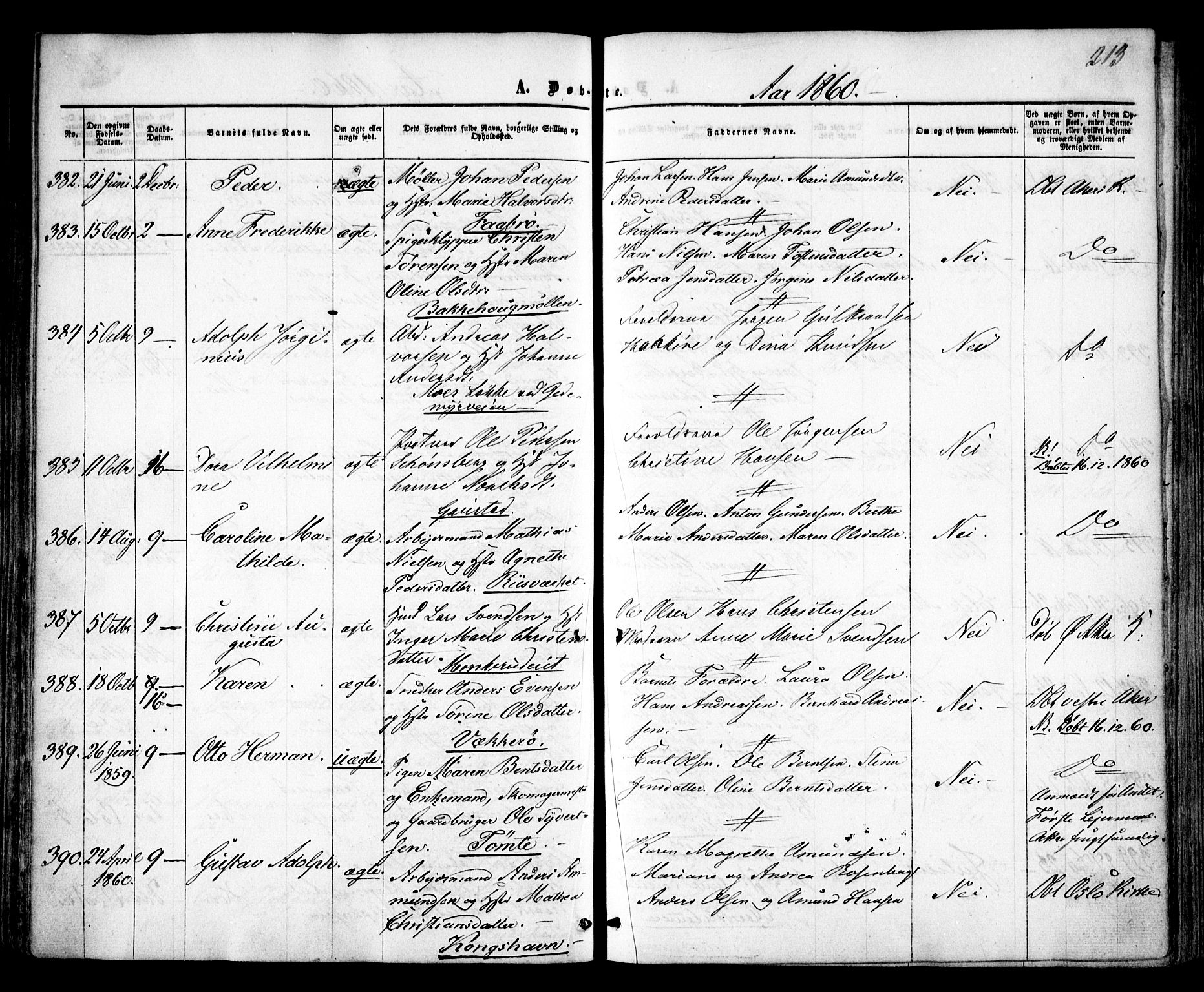 Vestre Aker prestekontor Kirkebøker, AV/SAO-A-10025/F/Fa/L0003: Parish register (official) no. 3, 1857-1868, p. 213