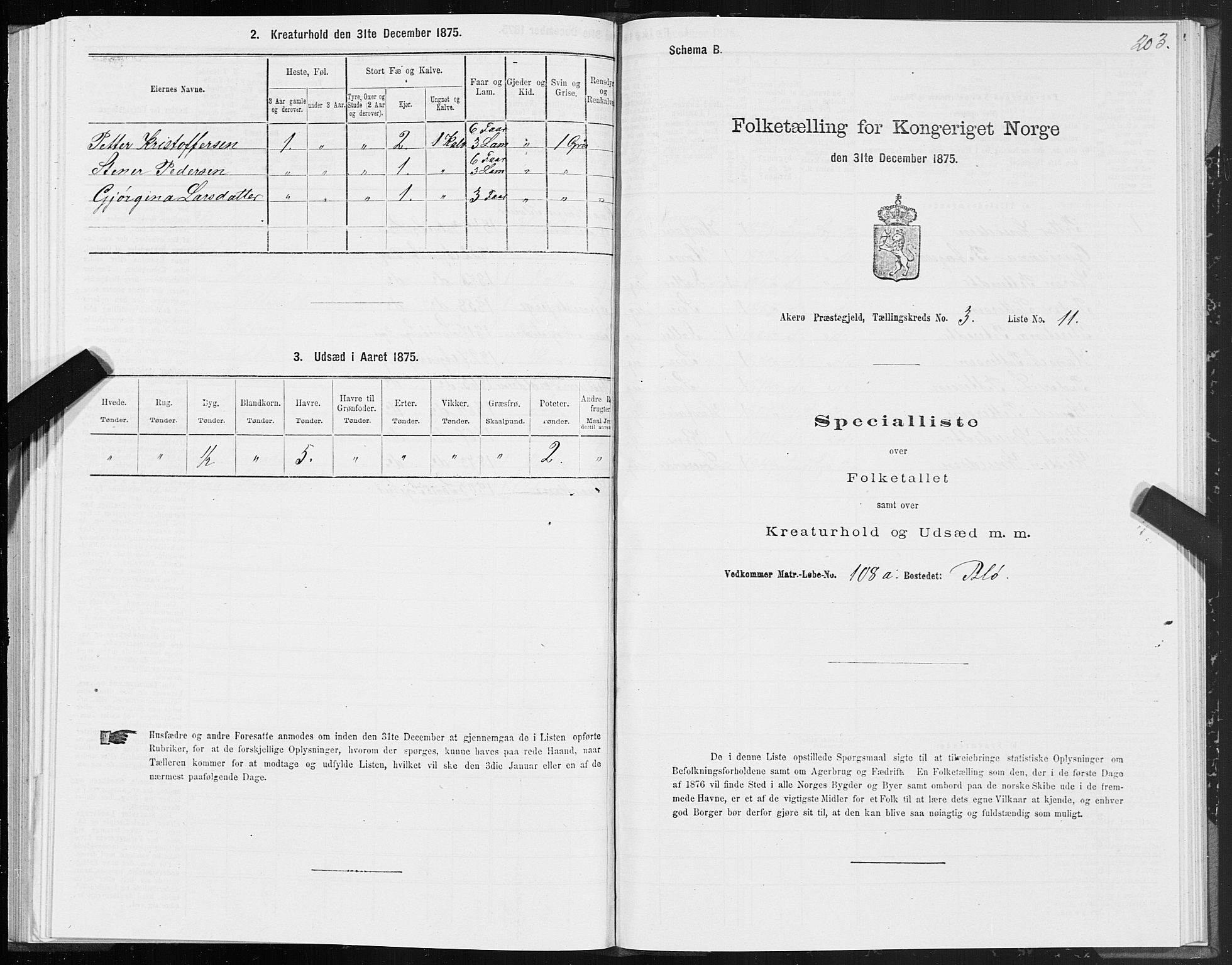 SAT, 1875 census for 1545P Aukra, 1875, p. 1203