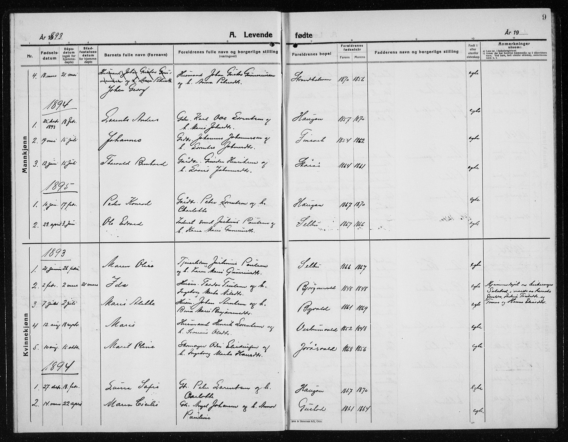 Ministerialprotokoller, klokkerbøker og fødselsregistre - Nord-Trøndelag, SAT/A-1458/719/L0180: Parish register (copy) no. 719C01, 1878-1940, p. 9