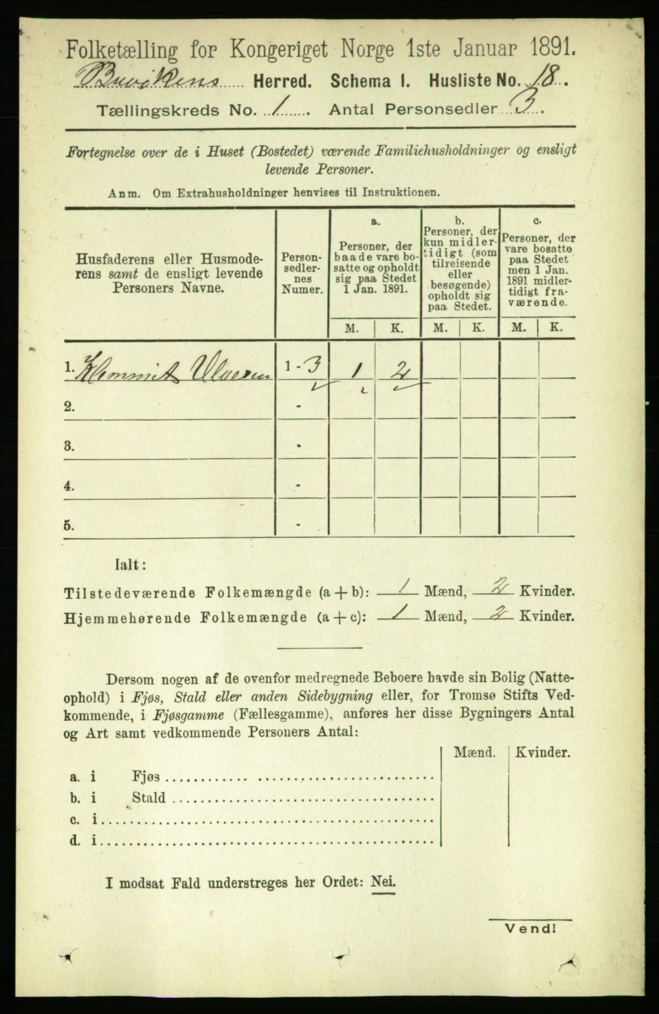 RA, 1891 census for 1656 Buvik, 1891, p. 29