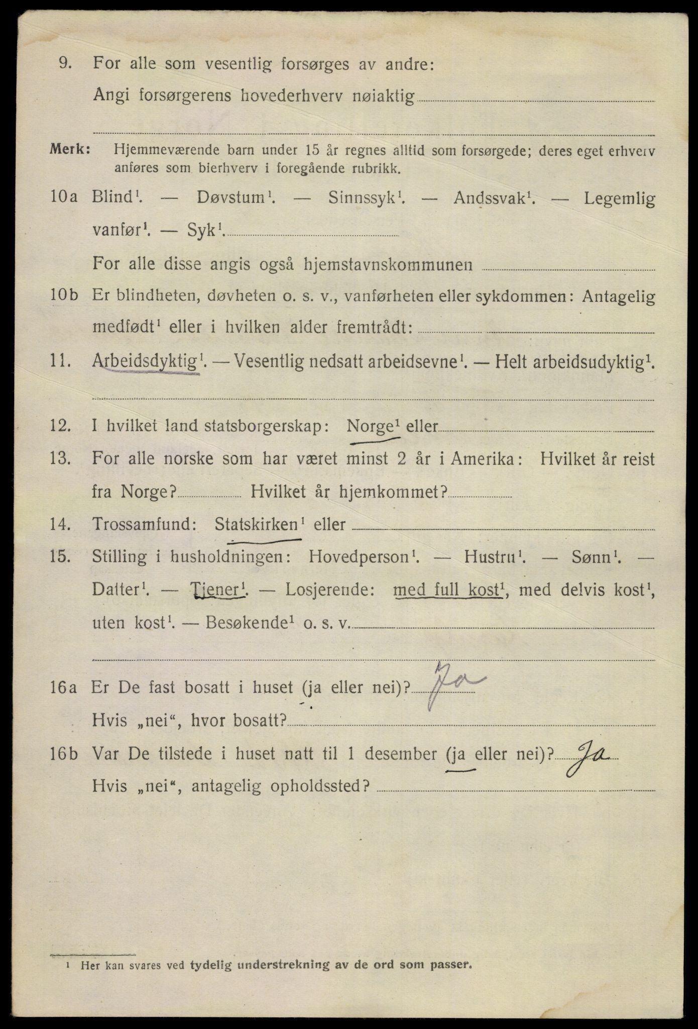 SAKO, 1920 census for Skien, 1920, p. 21833