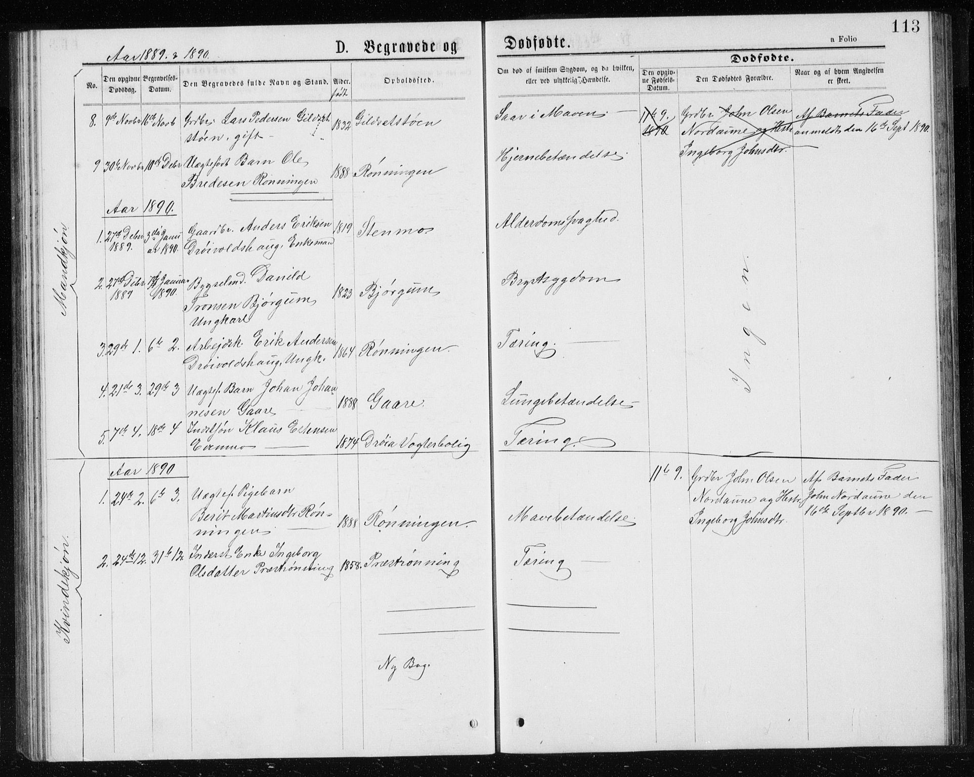 Ministerialprotokoller, klokkerbøker og fødselsregistre - Sør-Trøndelag, SAT/A-1456/685/L0977: Parish register (copy) no. 685C02, 1879-1890, p. 113