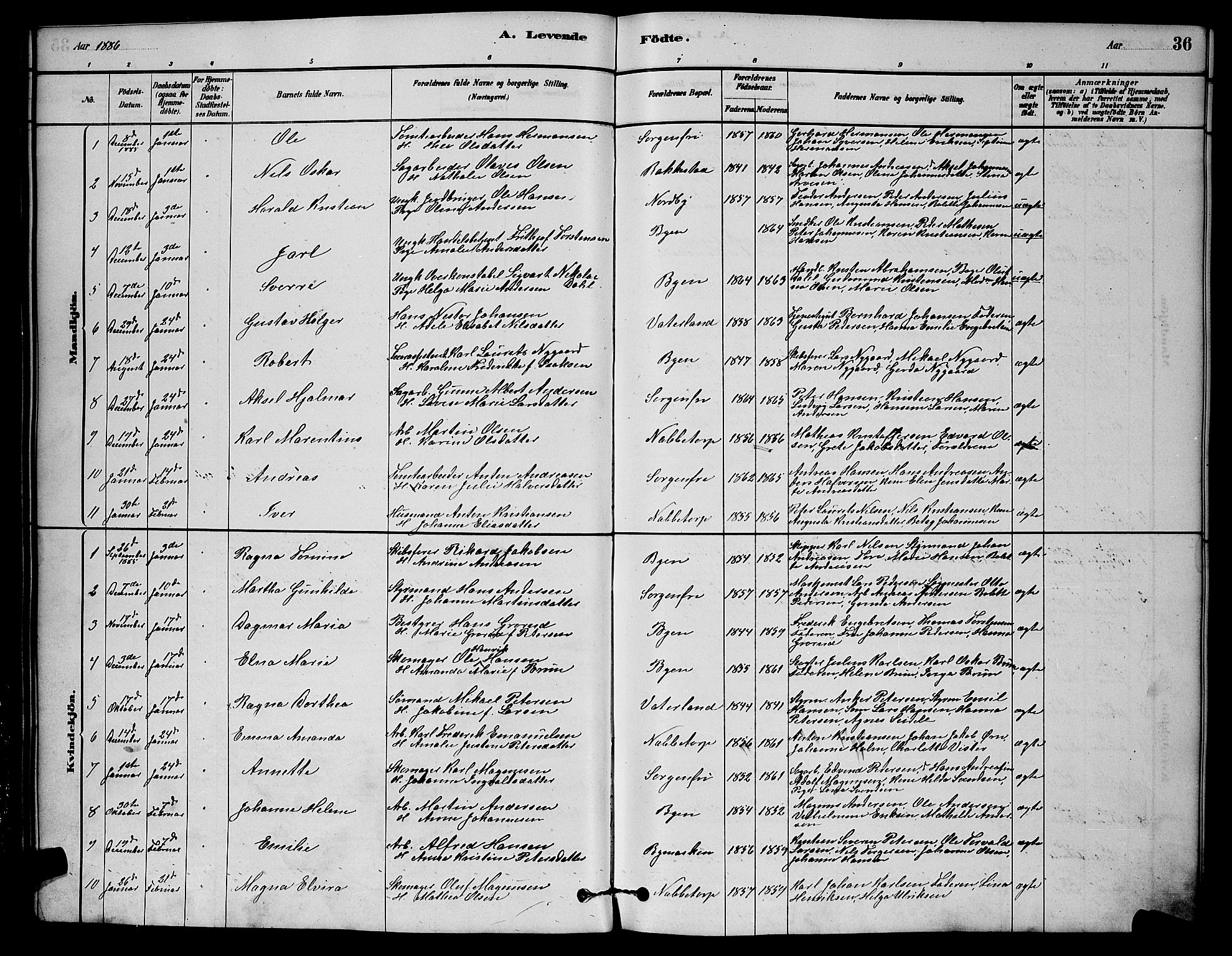 Østre Fredrikstad prestekontor Kirkebøker, SAO/A-10907/G/Ga/L0001: Parish register (copy) no. 1, 1880-1899, p. 36
