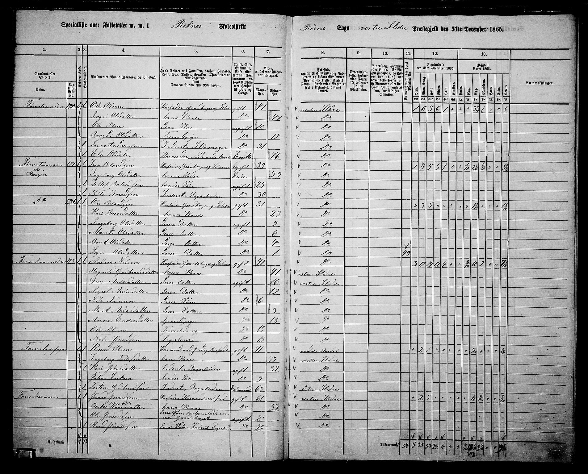 RA, 1865 census for Vestre Slidre, 1865, p. 136