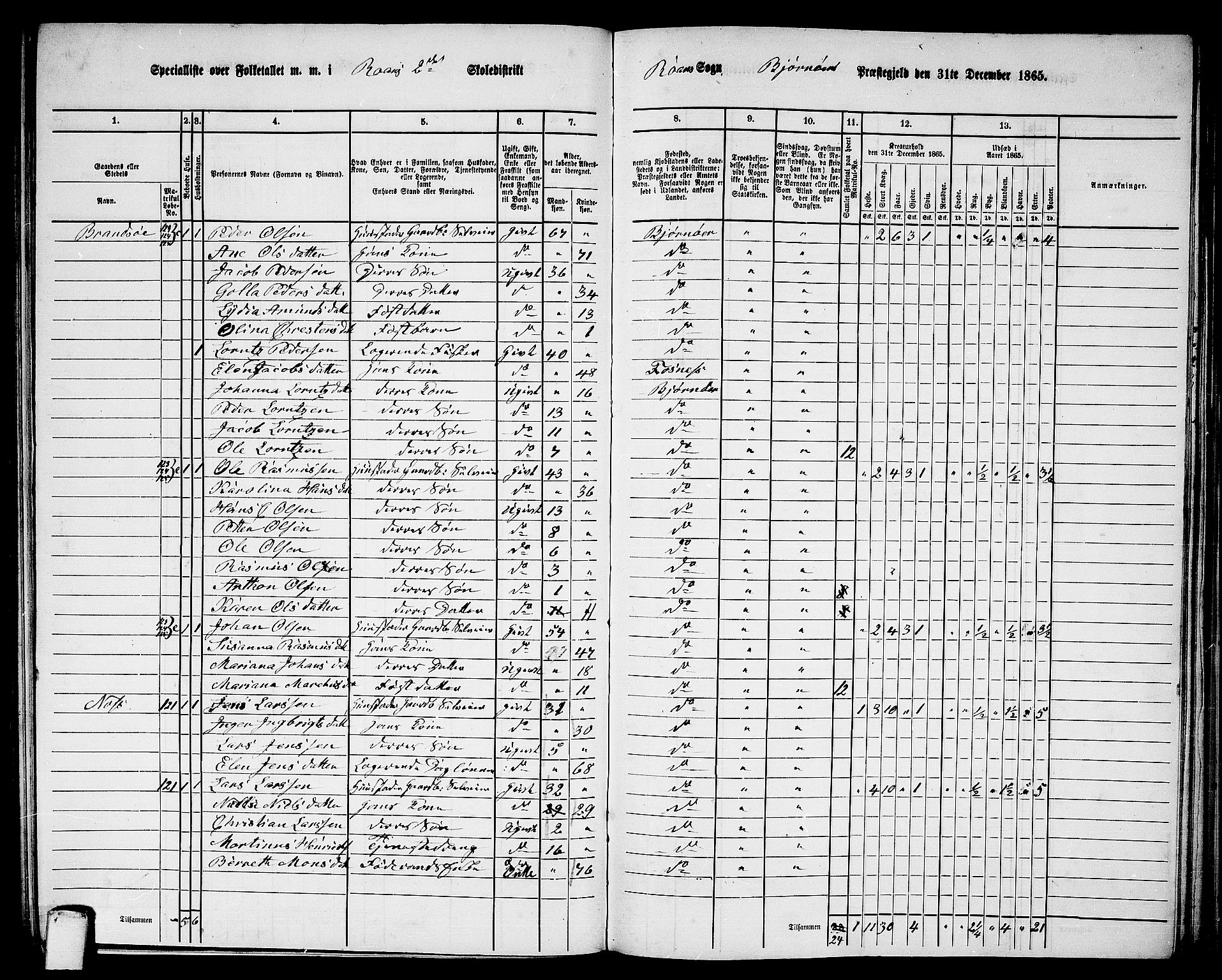 RA, 1865 census for Bjørnør, 1865, p. 106