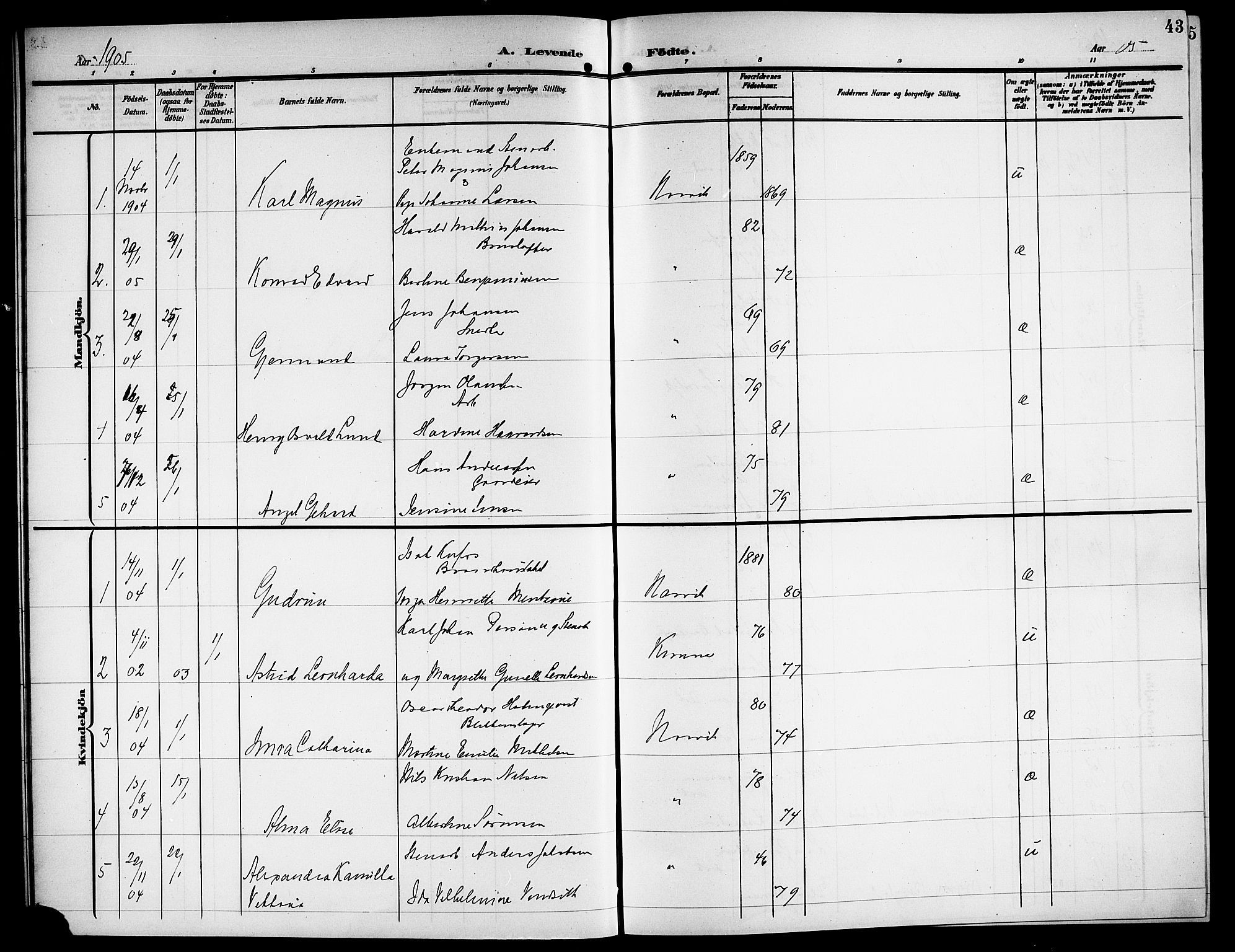 Ministerialprotokoller, klokkerbøker og fødselsregistre - Nordland, SAT/A-1459/871/L1012: Parish register (copy) no. 871C01, 1902-1909, p. 43
