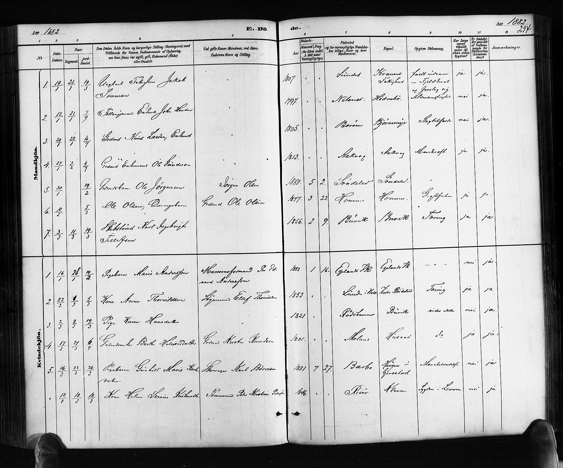 Søndeled sokneprestkontor, AV/SAK-1111-0038/F/Fa/L0004: Parish register (official) no. A 4, 1880-1889, p. 294