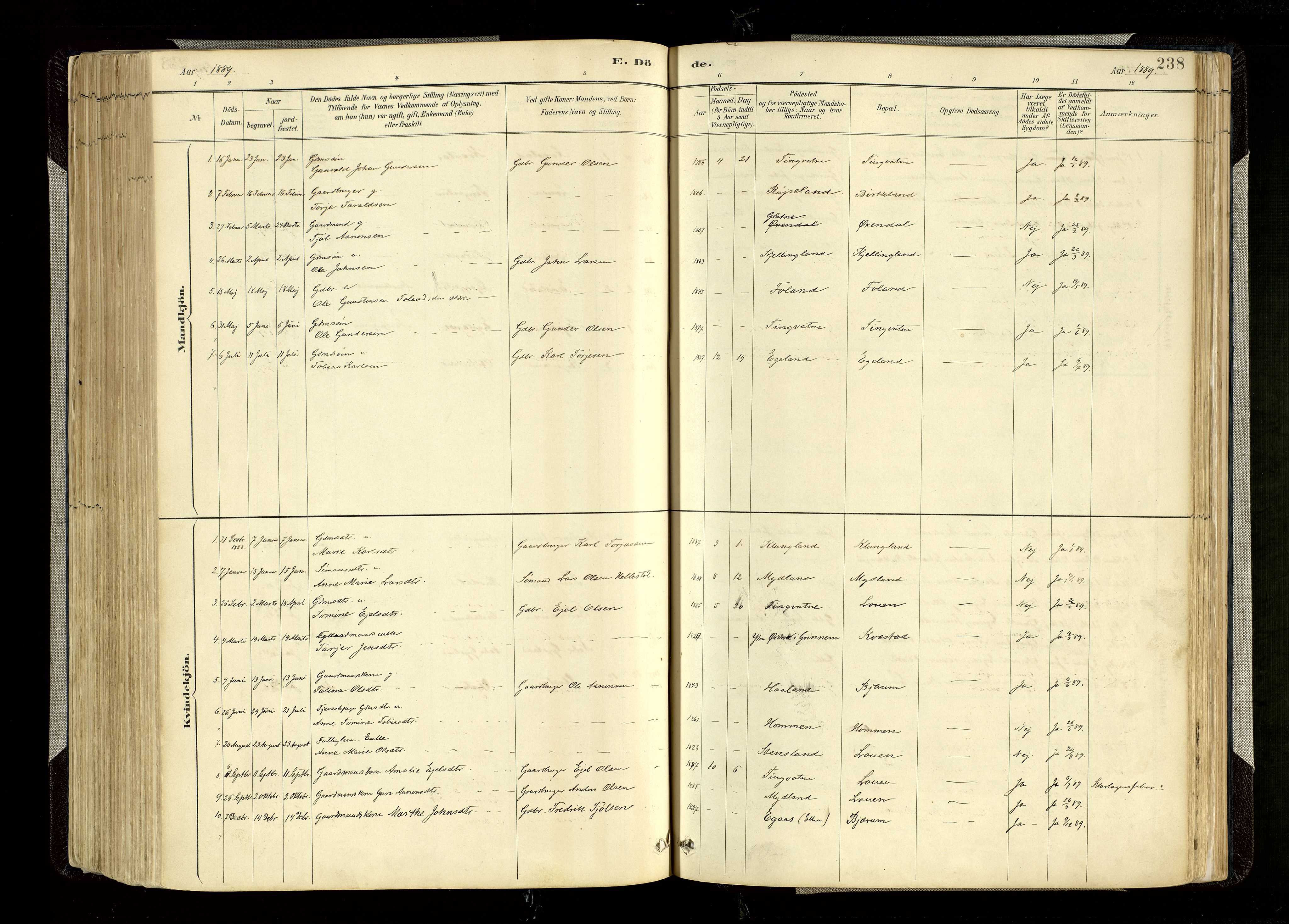 Hægebostad sokneprestkontor, AV/SAK-1111-0024/F/Fa/Faa/L0006: Parish register (official) no. A 6, 1887-1929, p. 238