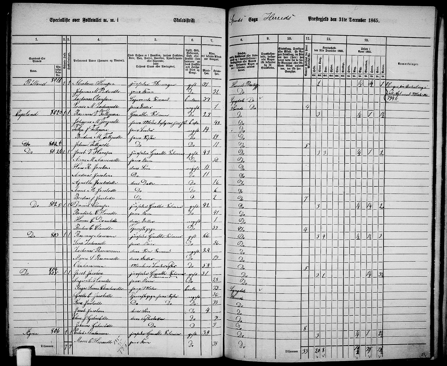 RA, 1865 census for Herad, 1865, p. 79