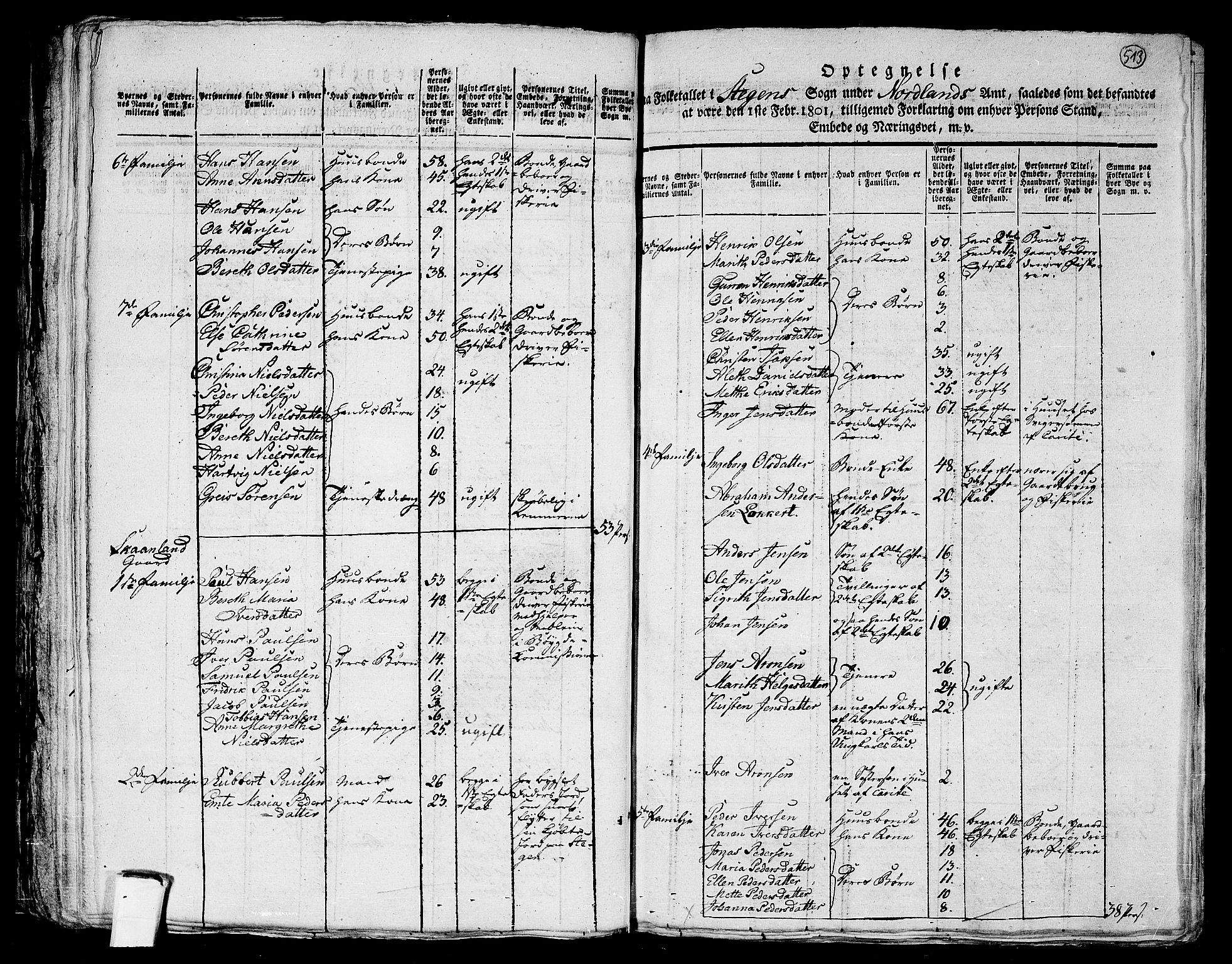 RA, 1801 census for 1848P Steigen, 1801, p. 512b-513a