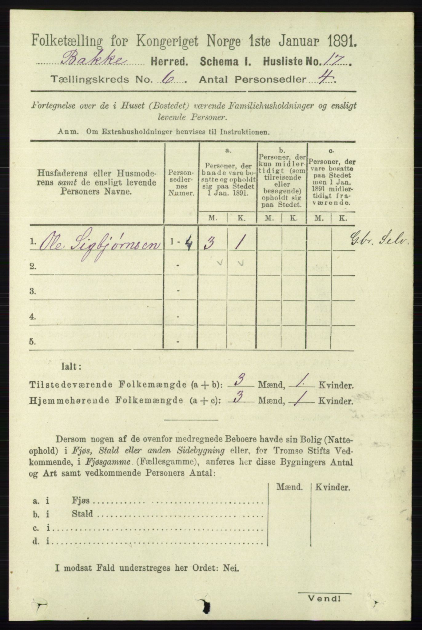 RA, 1891 census for 1045 Bakke, 1891, p. 1165