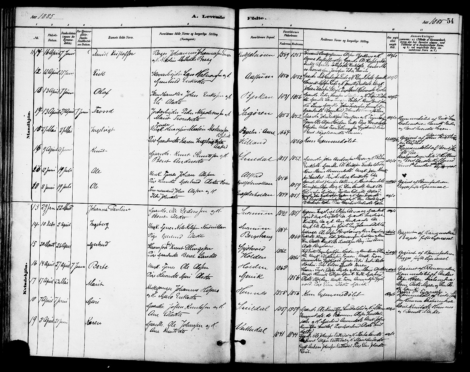 Ministerialprotokoller, klokkerbøker og fødselsregistre - Sør-Trøndelag, AV/SAT-A-1456/630/L0496: Parish register (official) no. 630A09, 1879-1895, p. 54