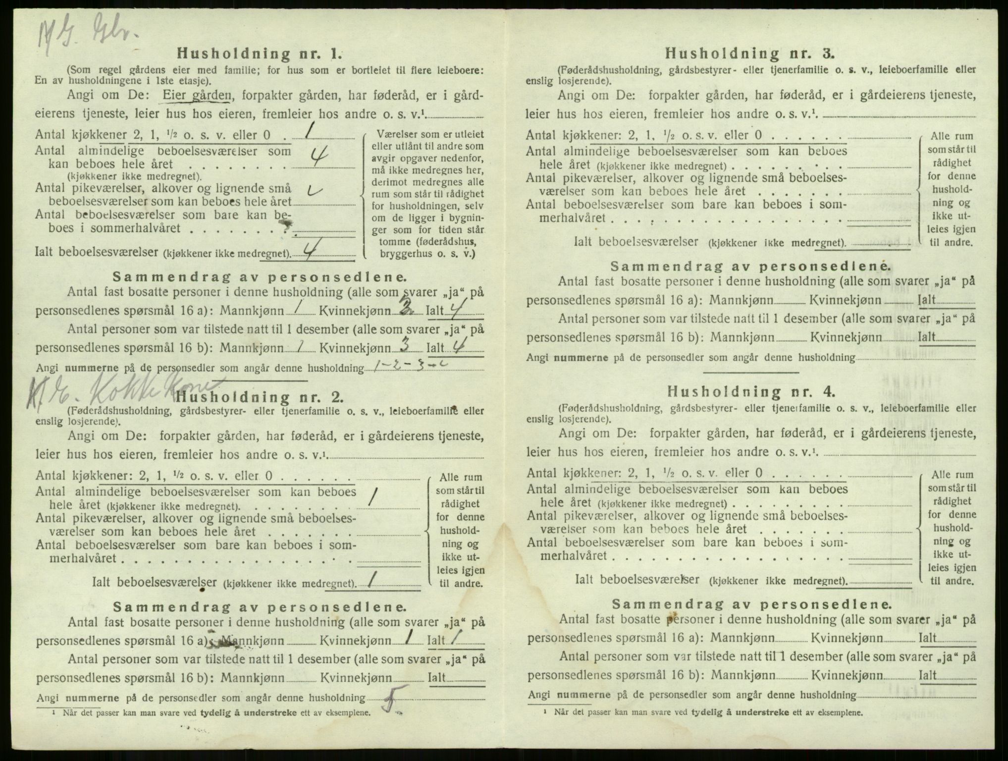 SAKO, 1920 census for Våle, 1920, p. 866