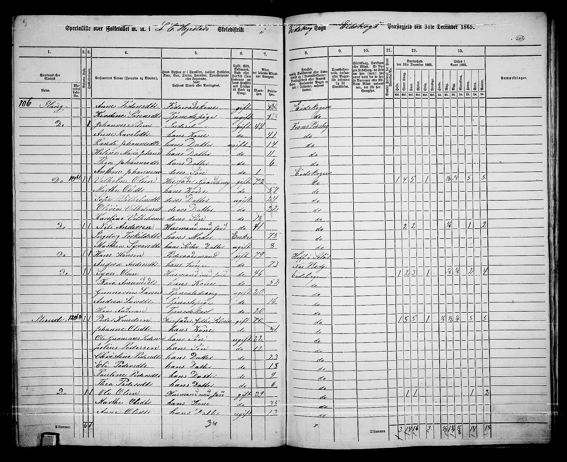 RA, 1865 census for Eidskog, 1865, p. 238