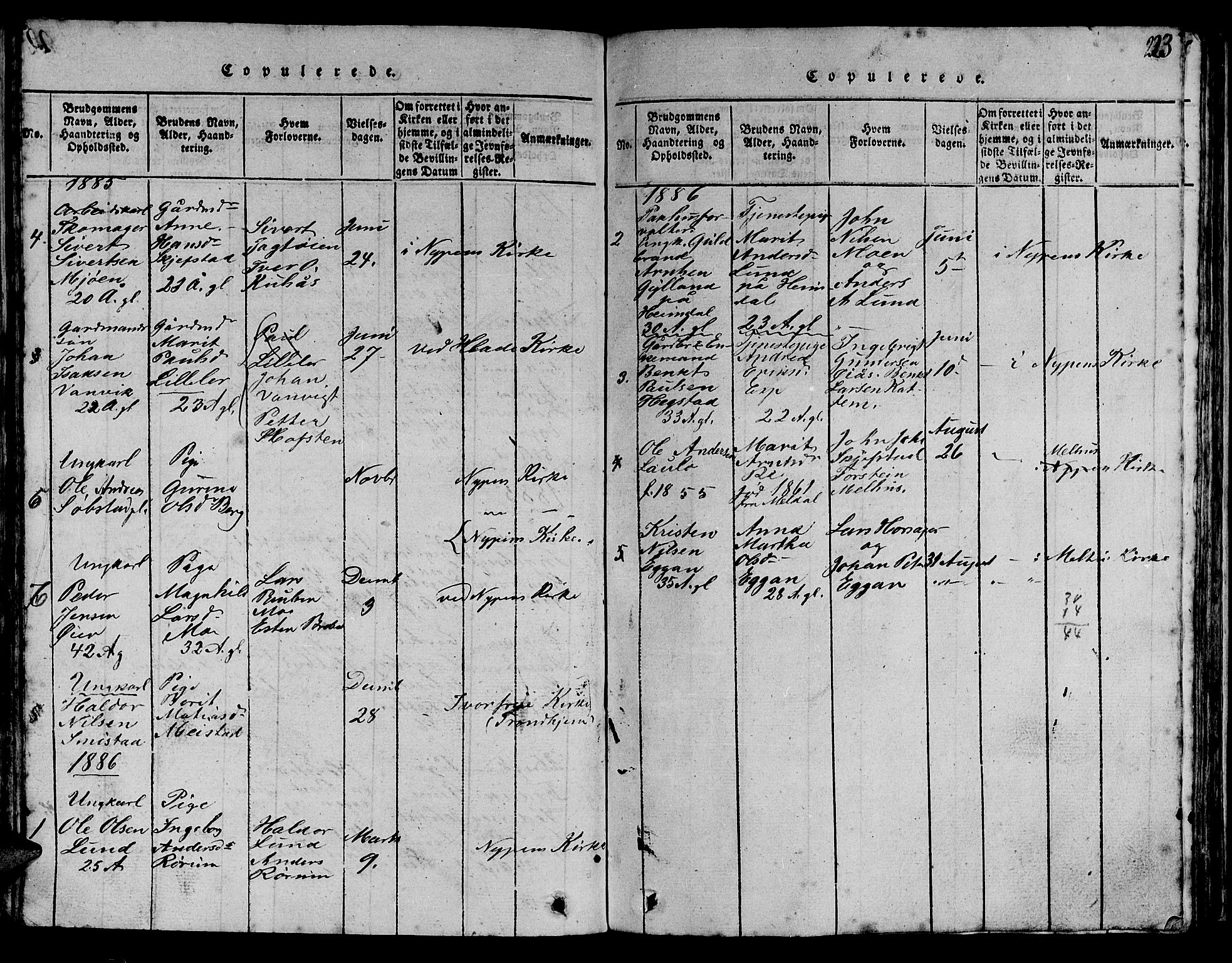 Ministerialprotokoller, klokkerbøker og fødselsregistre - Sør-Trøndelag, SAT/A-1456/613/L0393: Parish register (copy) no. 613C01, 1816-1886, p. 223