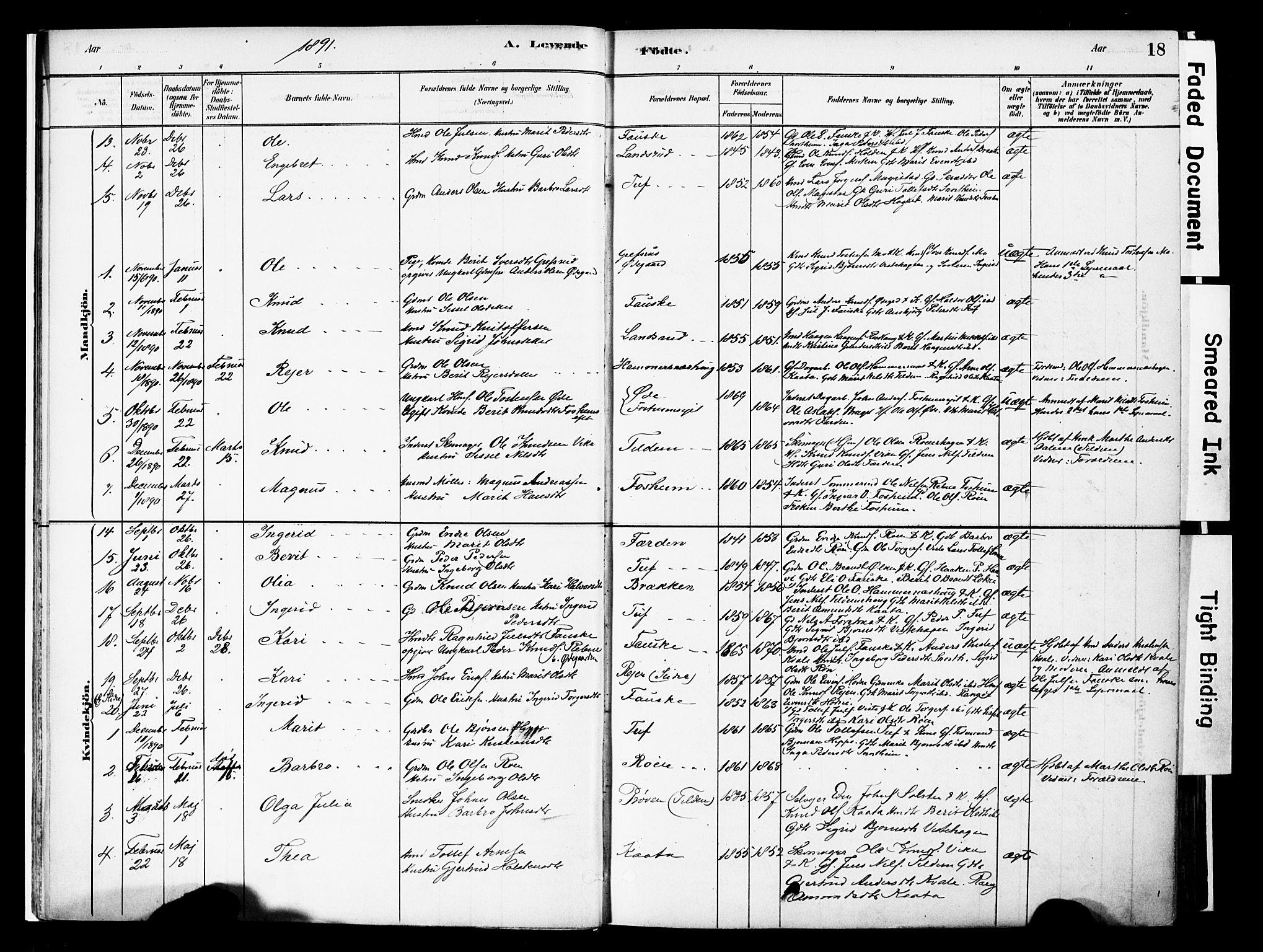 Vestre Slidre prestekontor, SAH/PREST-136/H/Ha/Haa/L0006: Parish register (official) no. 6, 1881-1912, p. 18