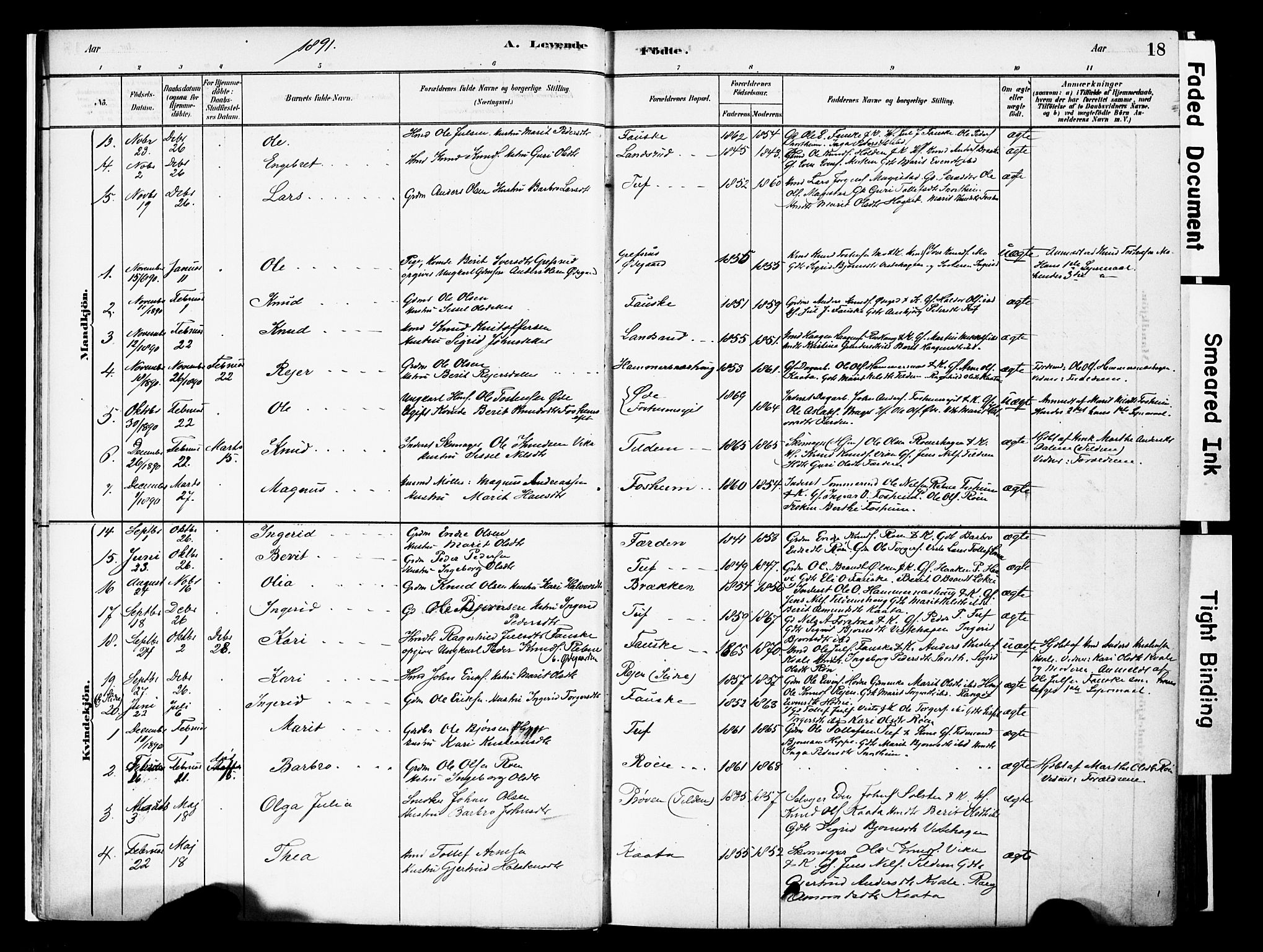 Vestre Slidre prestekontor, AV/SAH-PREST-136/H/Ha/Haa/L0006: Parish register (official) no. 6, 1881-1912, p. 18
