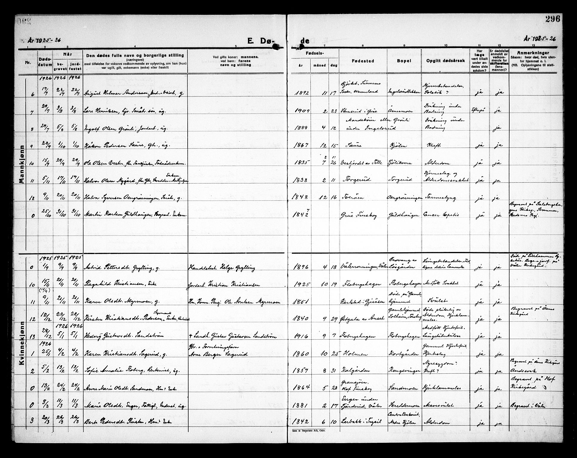 Åsnes prestekontor, AV/SAH-PREST-042/H/Ha/Haa/L0000C: Parish register (official) no. 0A, 1890-1929, p. 296