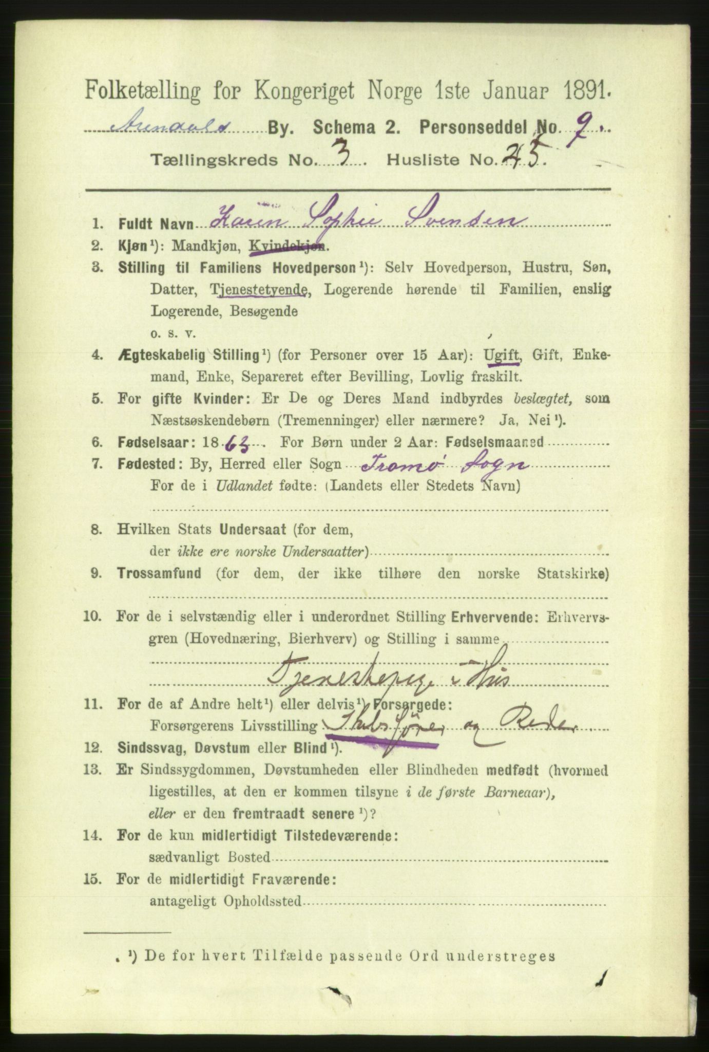 RA, 1891 census for 0903 Arendal, 1891, p. 1650