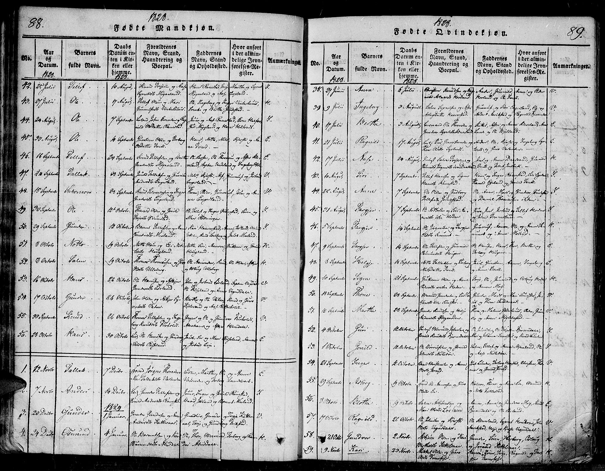 Evje sokneprestkontor, SAK/1111-0008/F/Fa/Faa/L0004: Parish register (official) no. A 4, 1816-1840, p. 88-89