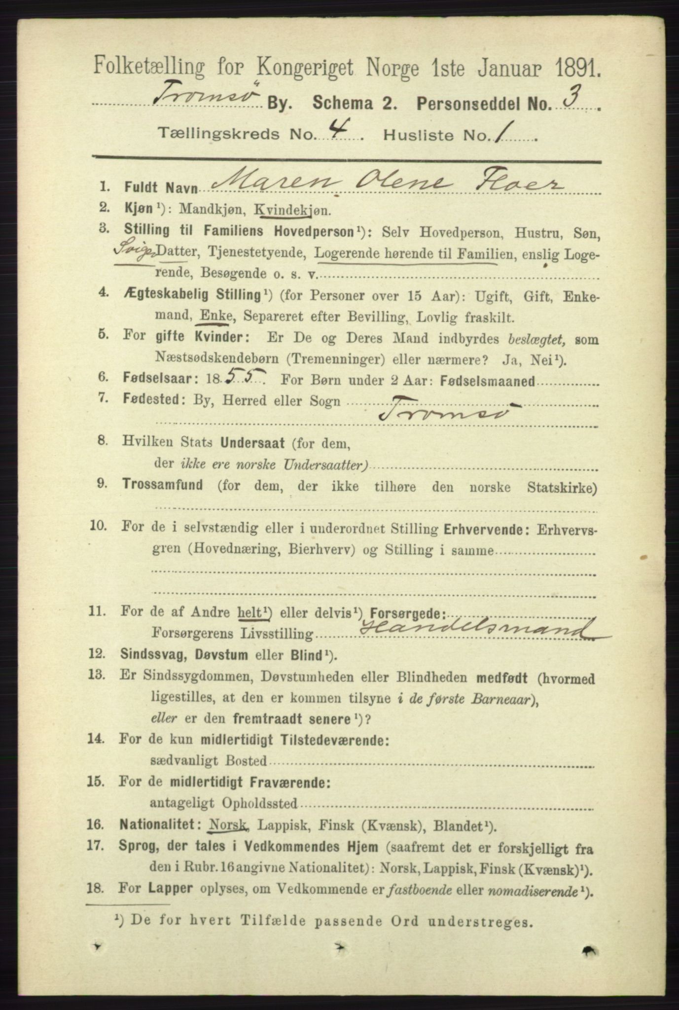 RA, 1891 census for 1902 Tromsø, 1891, p. 4088