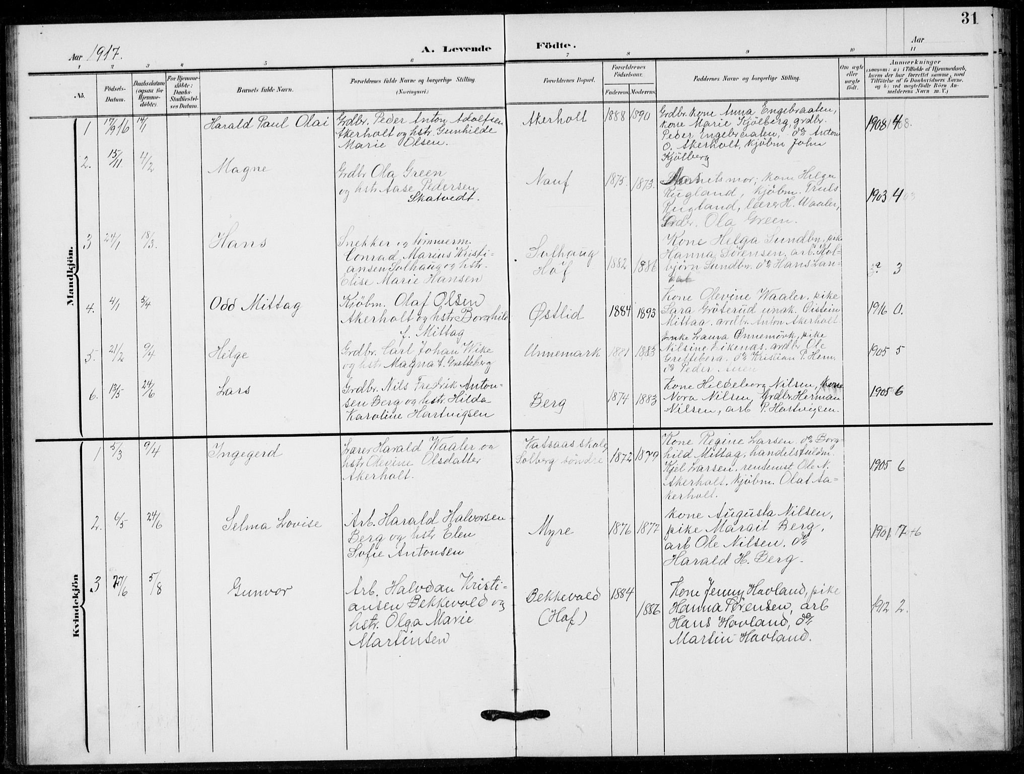 Hof kirkebøker, AV/SAKO-A-64/G/Gb/L0003: Parish register (copy) no. II 3, 1902-1917, p. 31