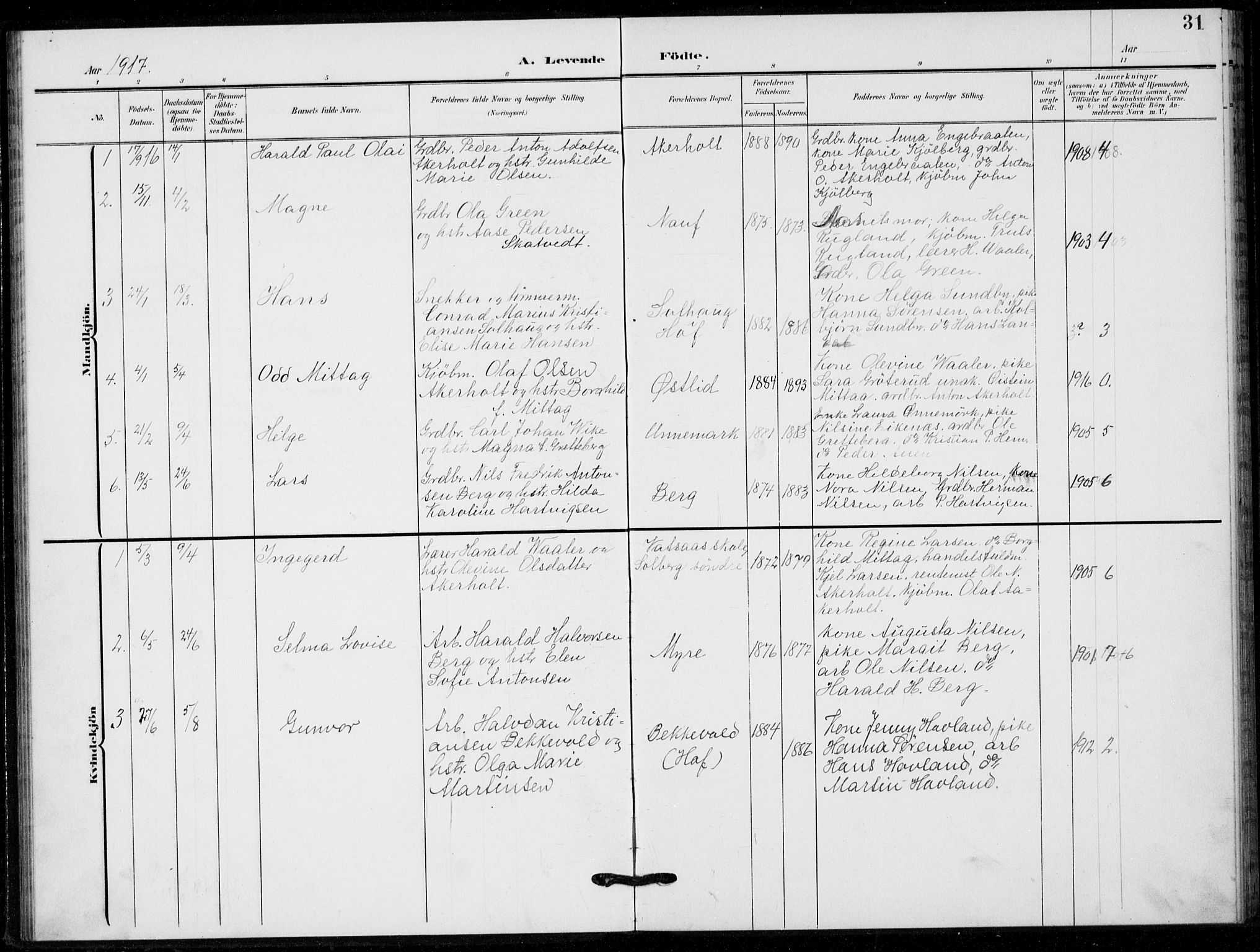 Hof kirkebøker, SAKO/A-64/G/Gb/L0003: Parish register (copy) no. II 3, 1902-1917, p. 31