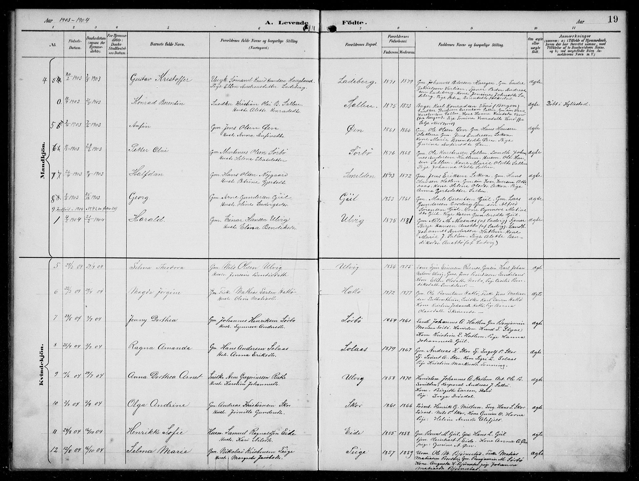 Hyllestad sokneprestembete, SAB/A-80401: Parish register (copy) no. C 3, 1894-1913, p. 19