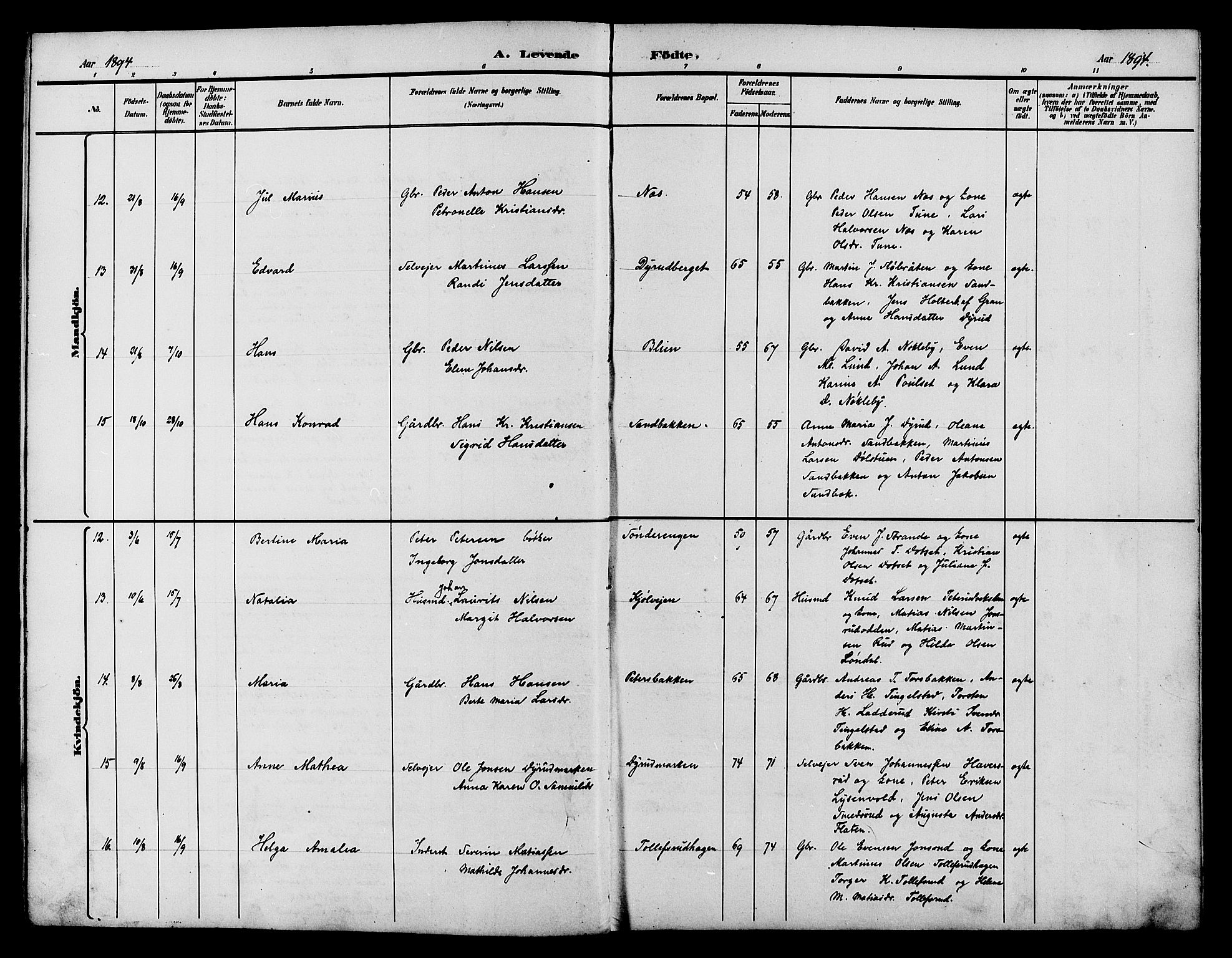 Vestre Toten prestekontor, AV/SAH-PREST-108/H/Ha/Hab/L0015: Parish register (copy) no. 15, 1890-1900