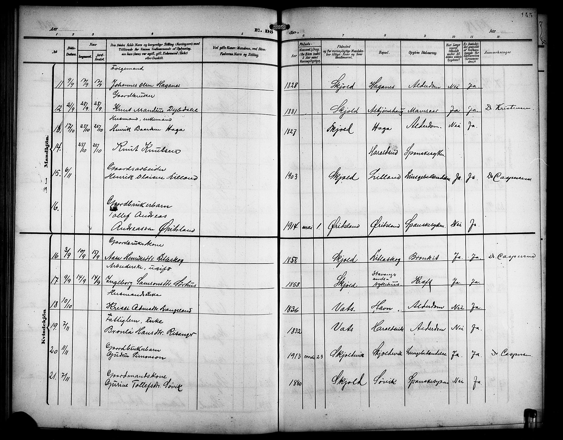 Skjold sokneprestkontor, AV/SAST-A-101847/H/Ha/Hab/L0008: Parish register (copy) no. B 8, 1906-1920, p. 145