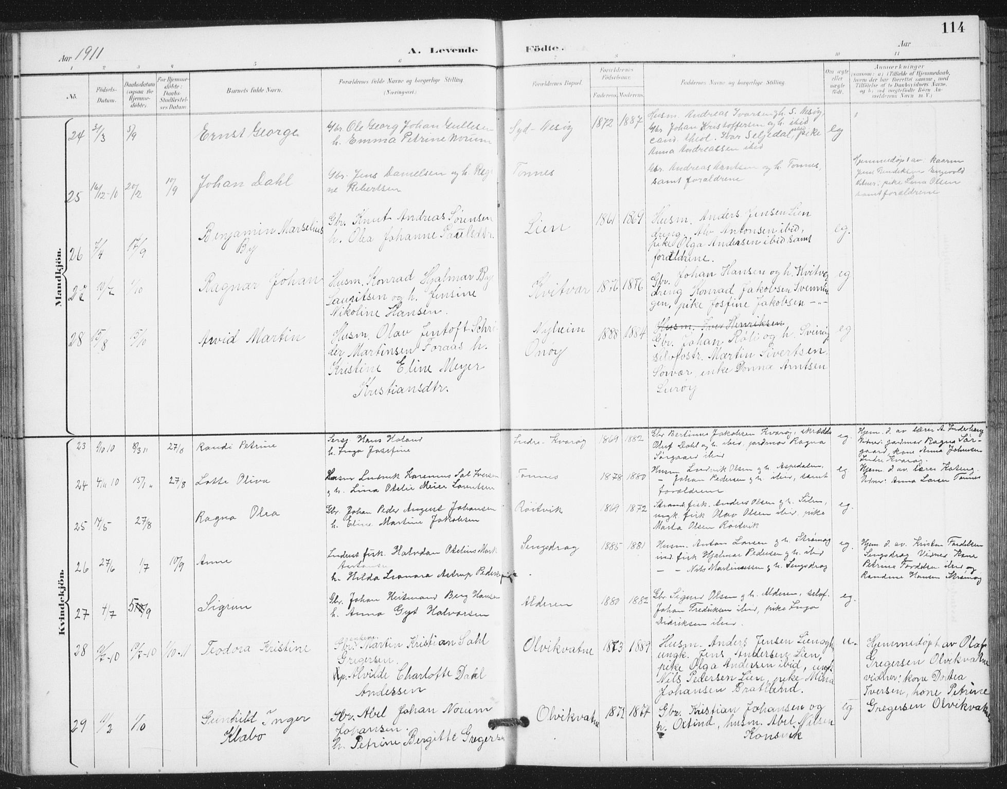 Ministerialprotokoller, klokkerbøker og fødselsregistre - Nordland, AV/SAT-A-1459/839/L0573: Parish register (copy) no. 839C03, 1892-1917, p. 114