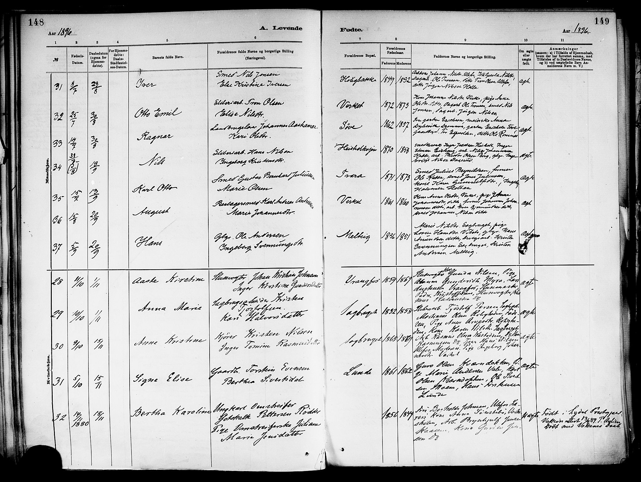 Holla kirkebøker, SAKO/A-272/F/Fa/L0008: Parish register (official) no. 8, 1882-1897, p. 148