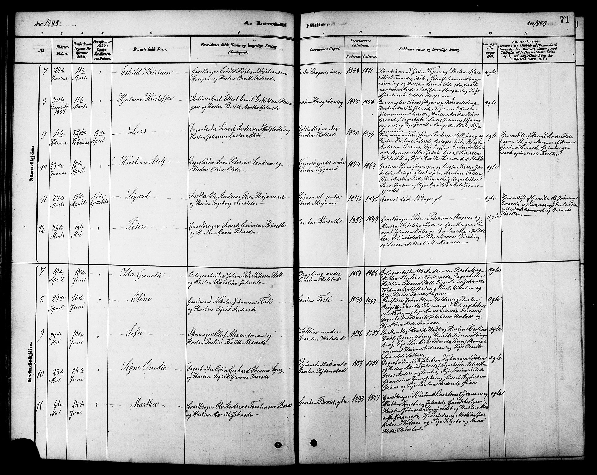 Ministerialprotokoller, klokkerbøker og fødselsregistre - Sør-Trøndelag, AV/SAT-A-1456/616/L0423: Parish register (copy) no. 616C06, 1878-1903, p. 71