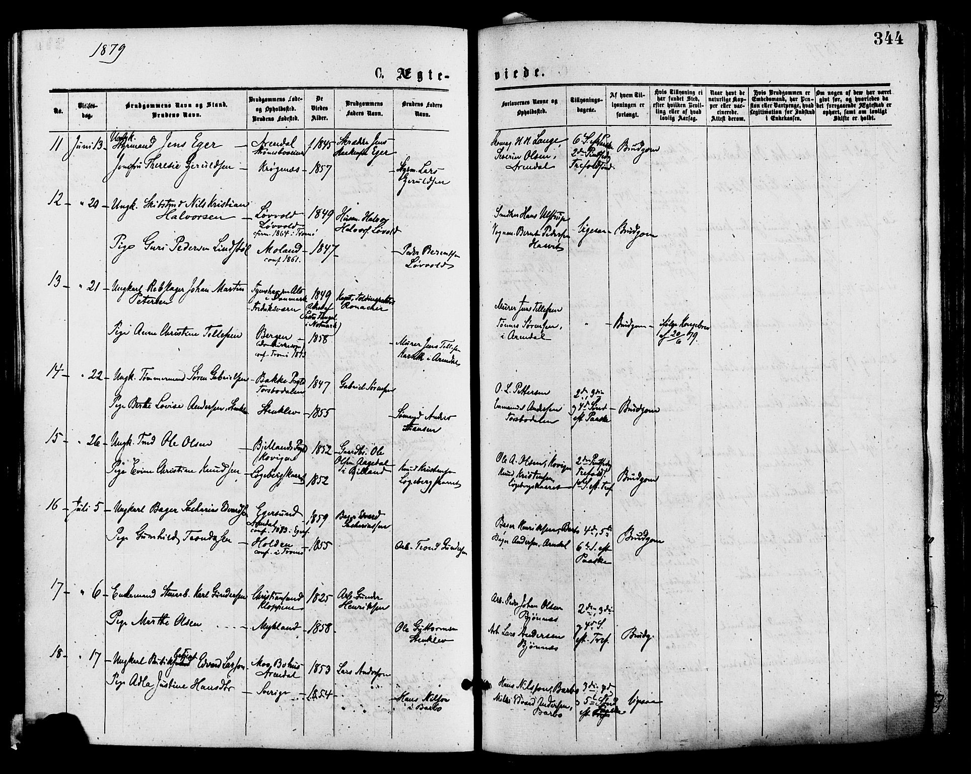 Barbu sokneprestkontor, AV/SAK-1111-0003/F/Fa/L0001: Parish register (official) no. A 1 /1, 1878-1883, p. 344