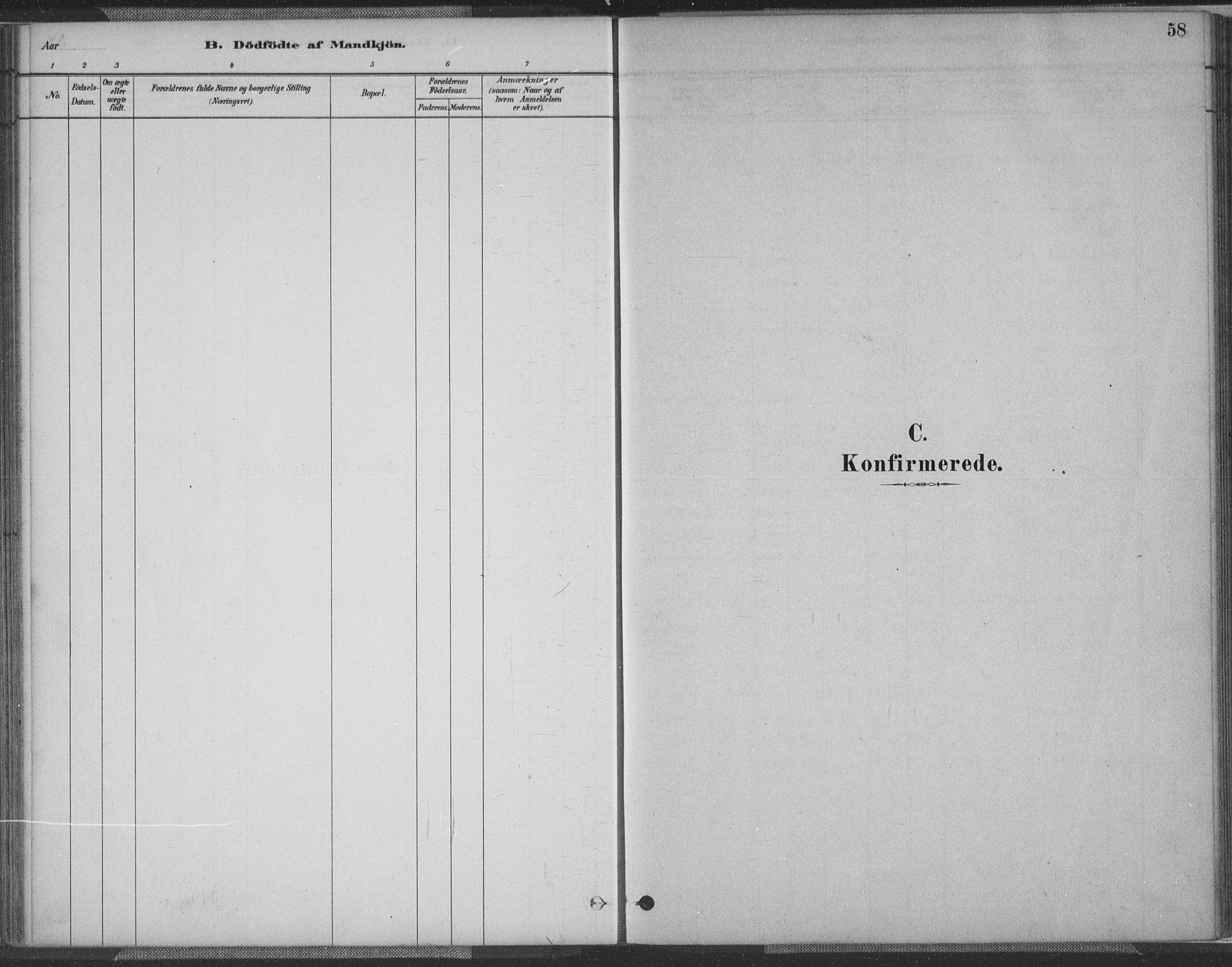 Fjotland sokneprestkontor, SAK/1111-0010/F/Fa/L0002: Parish register (official) no. A 2, 1880-1898, p. 58