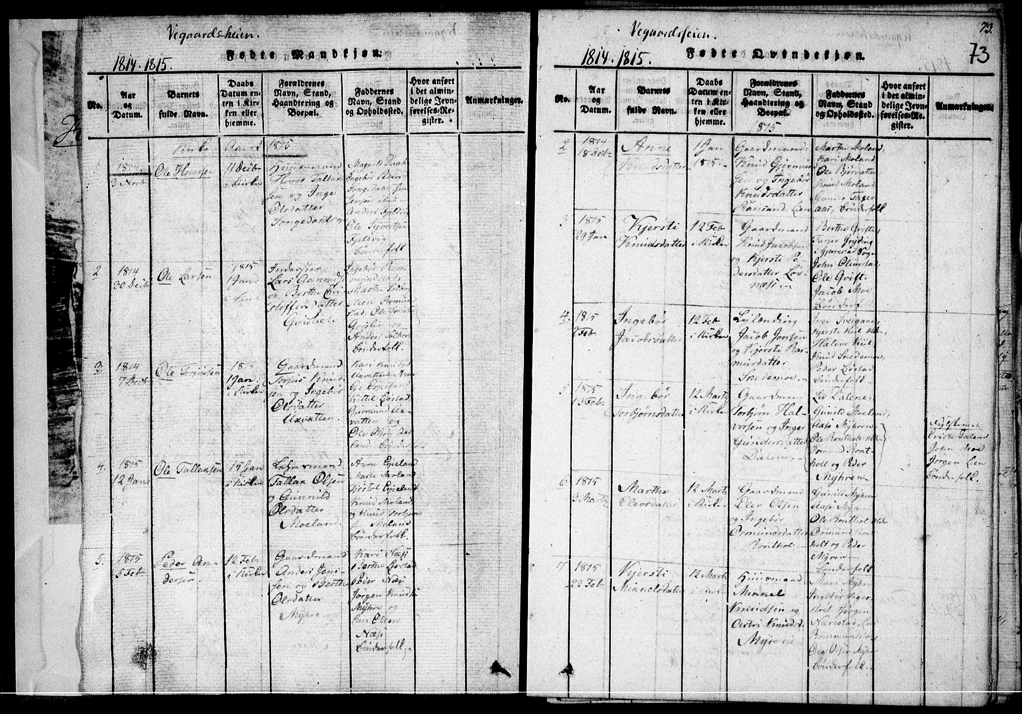 Holt sokneprestkontor, AV/SAK-1111-0021/F/Fa/L0005: Parish register (official) no. A 5, 1813-1821, p. 73