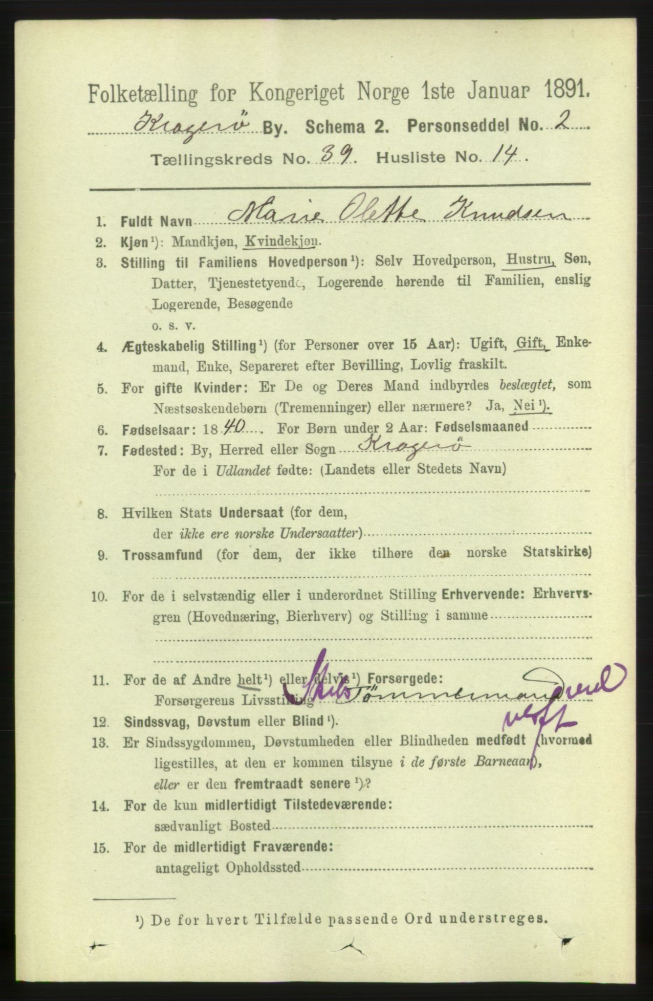 RA, 1891 census for 0801 Kragerø, 1891, p. 7395