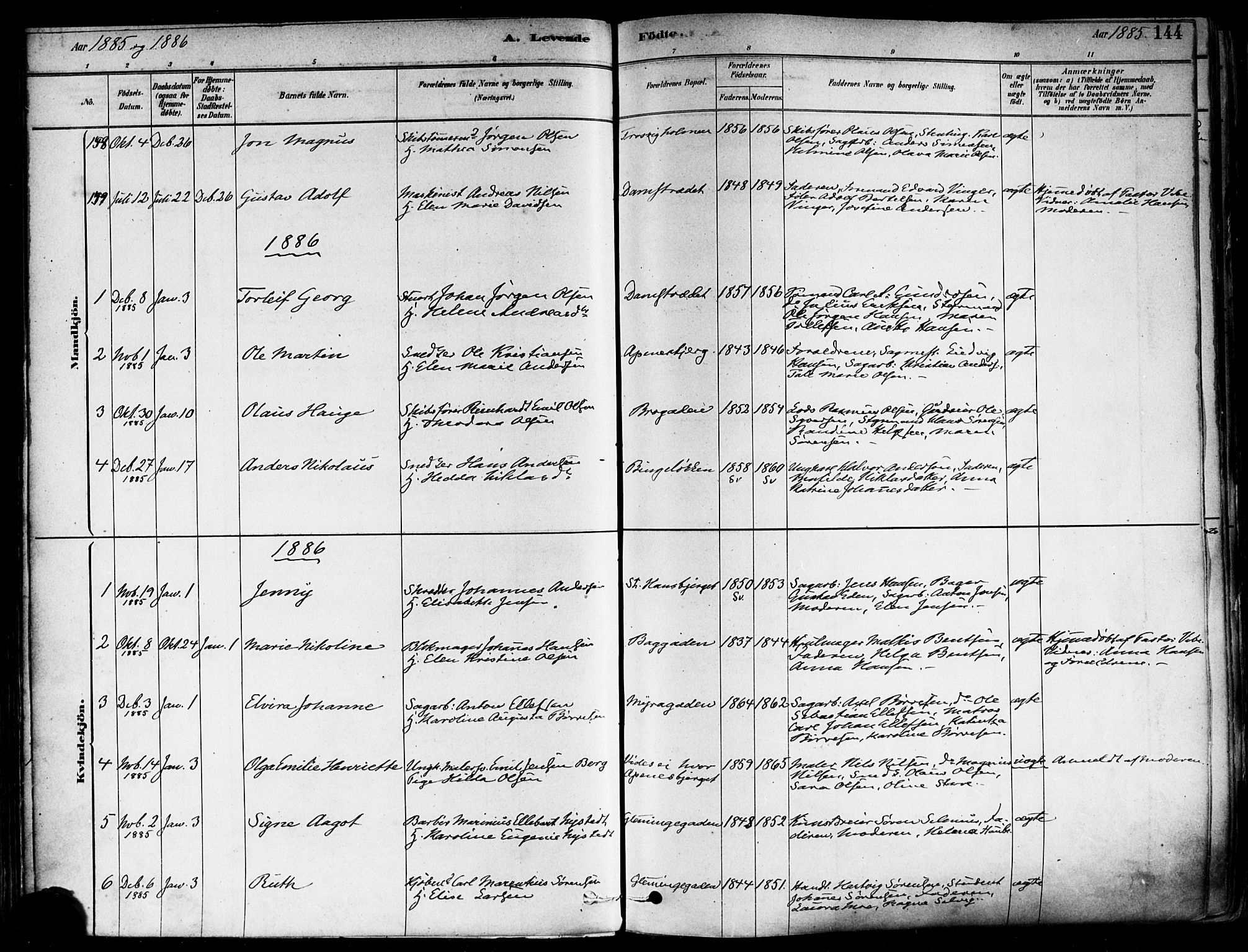 Fredrikstad domkirkes prestekontor Kirkebøker, AV/SAO-A-10906/F/Fa/L0002: Parish register (official) no. 2, 1878-1894, p. 144