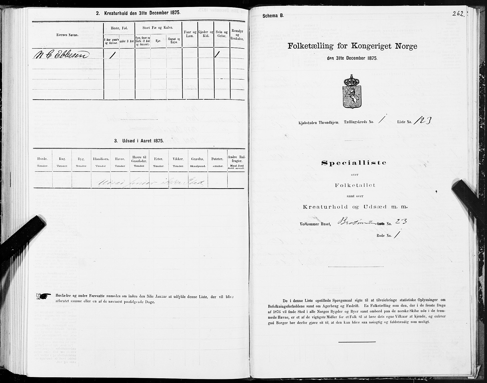 SAT, 1875 census for 1601 Trondheim, 1875, p. 1262