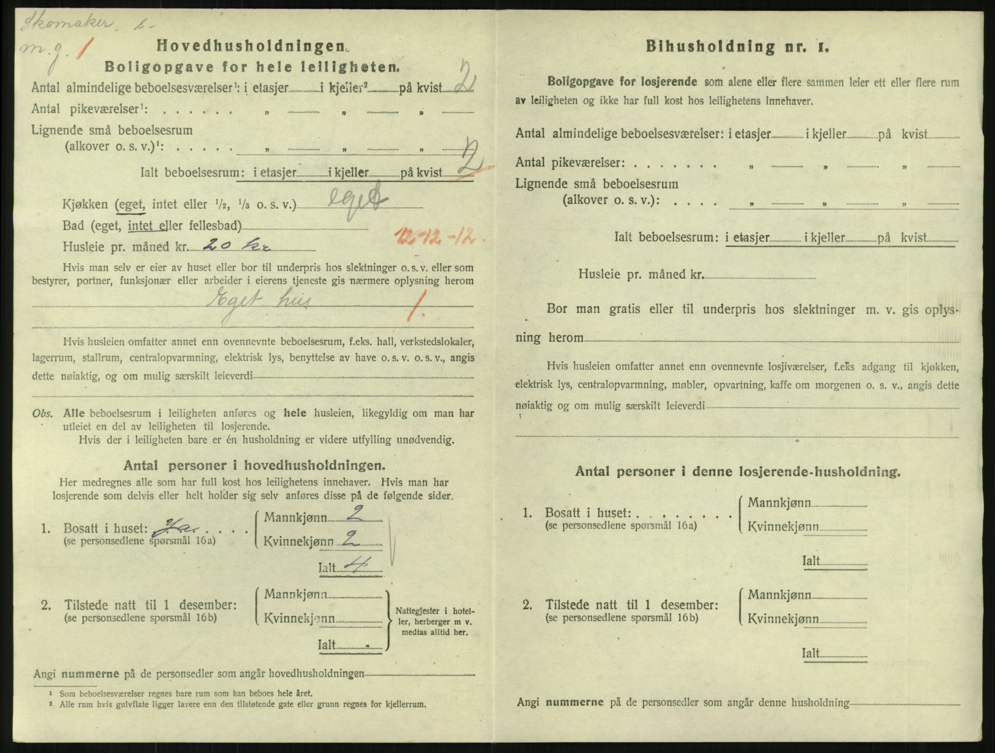 SAKO, 1920 census for Horten, 1920, p. 3538