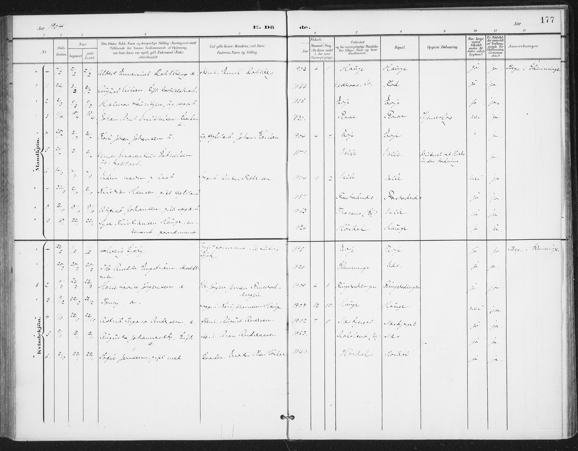 Rolvsøy prestekontor Kirkebøker, AV/SAO-A-2004/F/Fa/L0001: Parish register (official) no. 1, 1901-1909, p. 177