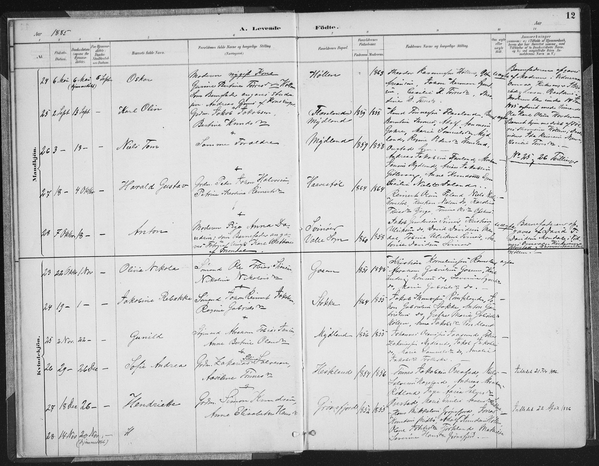 Sør-Audnedal sokneprestkontor, AV/SAK-1111-0039/F/Fa/Faa/L0004: Parish register (official) no. A 4, 1884-1909, p. 12