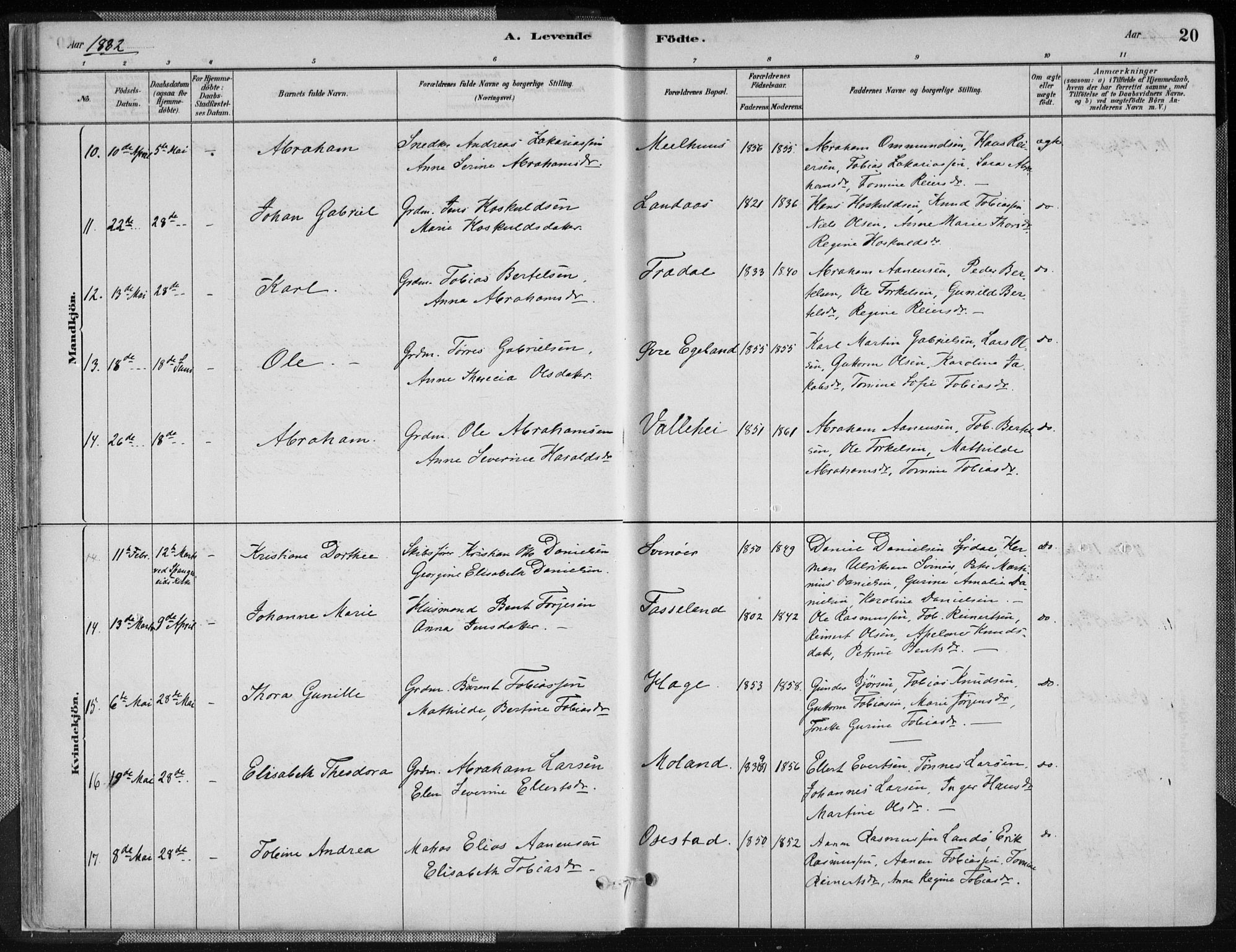 Sør-Audnedal sokneprestkontor, AV/SAK-1111-0039/F/Fa/Fab/L0009: Parish register (official) no. A 9, 1880-1895, p. 20