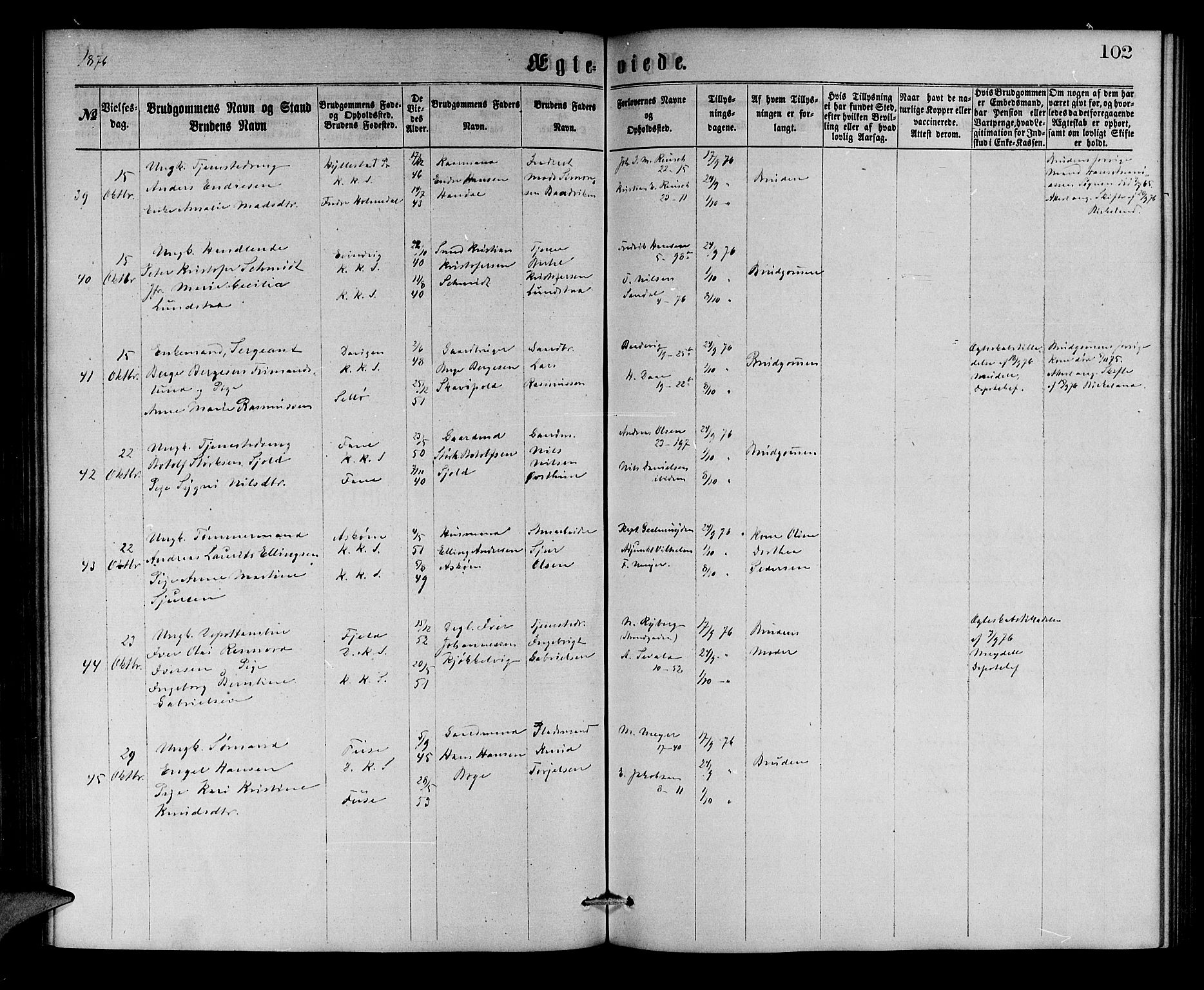Korskirken sokneprestembete, SAB/A-76101/H/Hab: Parish register (copy) no. D 2, 1867-1886, p. 102