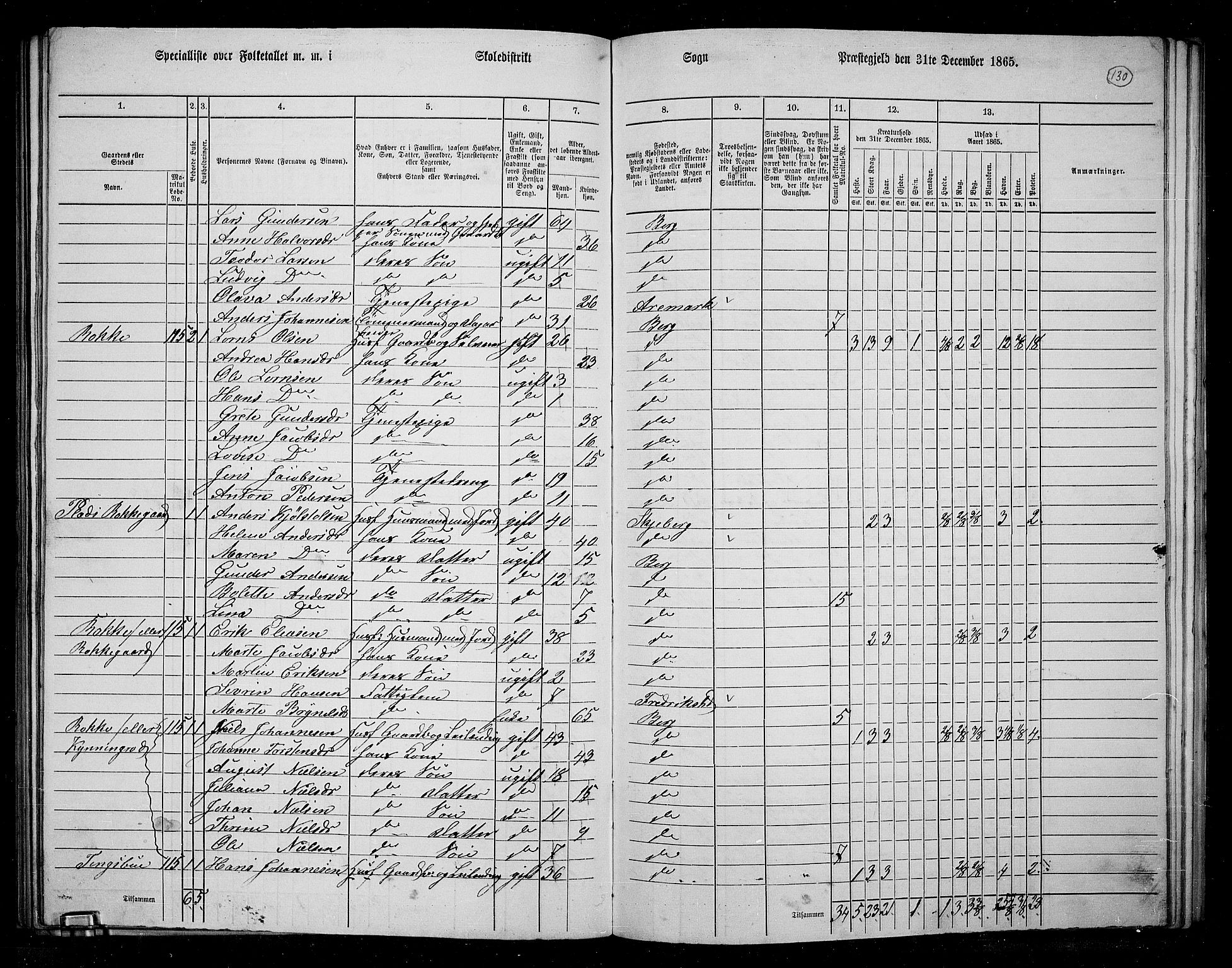 RA, 1865 census for Berg, 1865, p. 113