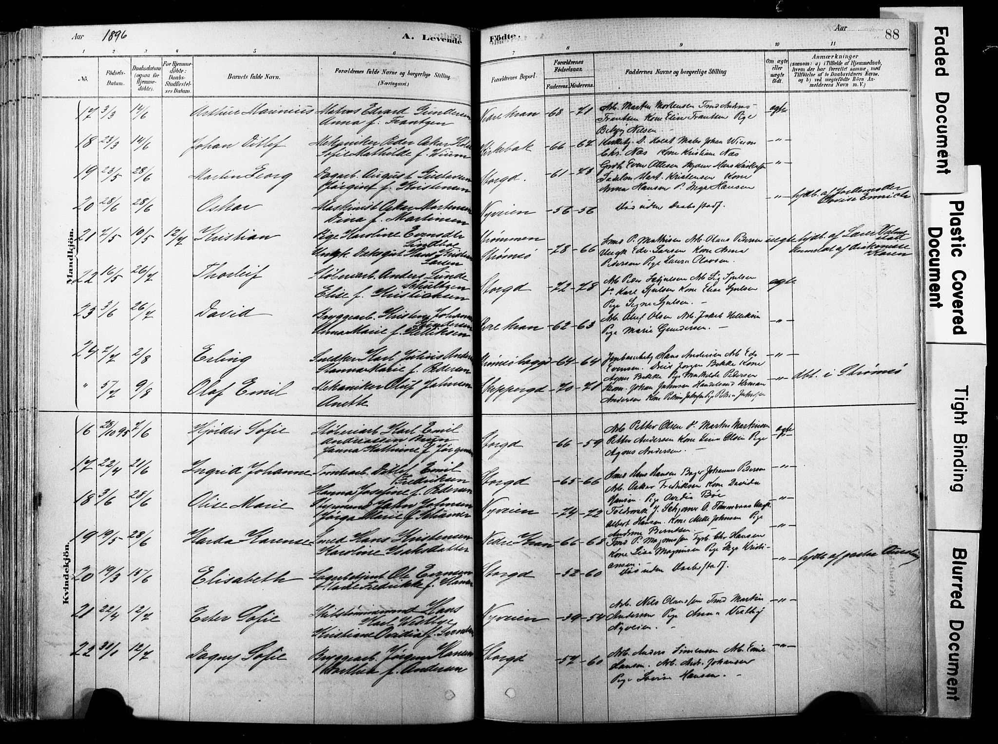 Strømsø kirkebøker, AV/SAKO-A-246/F/Fb/L0006: Parish register (official) no. II 6, 1879-1910, p. 88