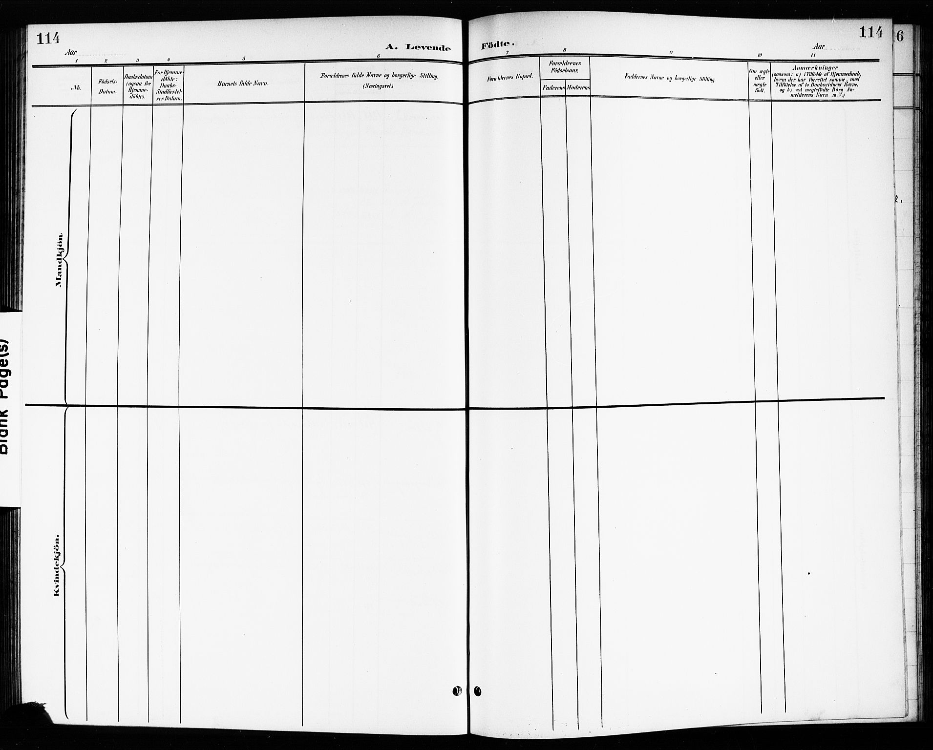 Drøbak prestekontor Kirkebøker, SAO/A-10142a/G/Gb/L0001: Parish register (copy) no. II 1, 1901-1919, p. 114